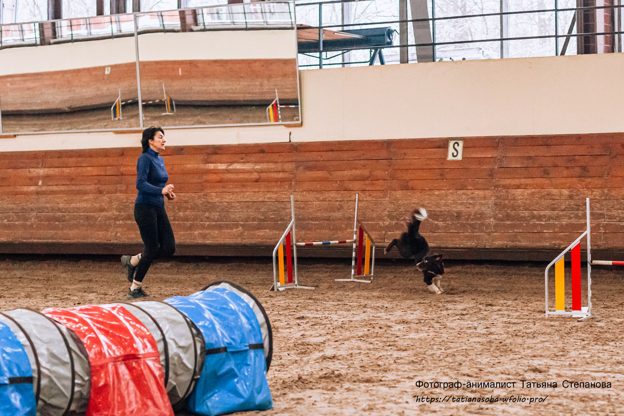Соревнования по Аджилити 25.02.2024. Фотограф-анималист Татьяна Степанова