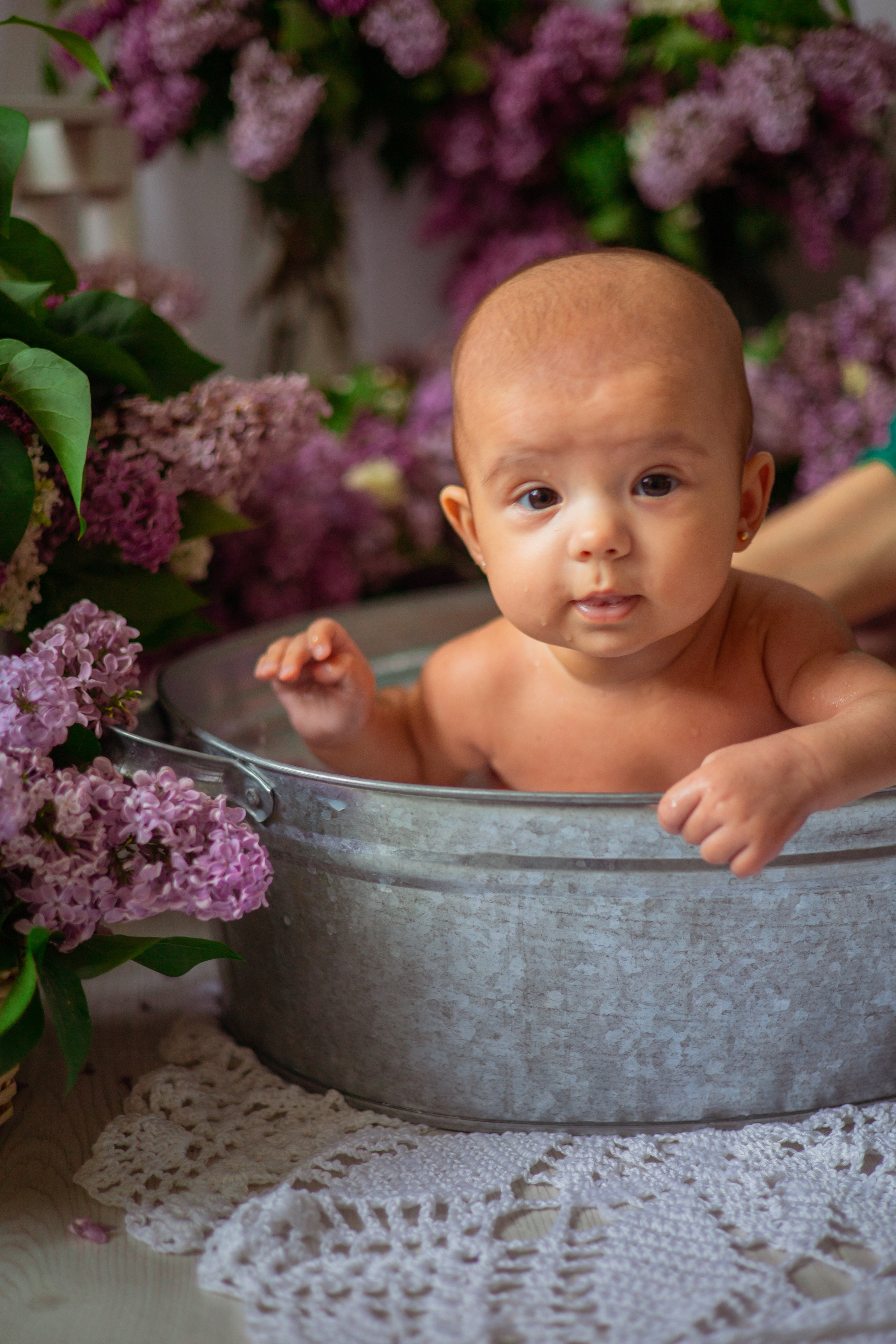 Маша сирень. Семейный и детский фотограф в Михайловке Татьяна Лестьева