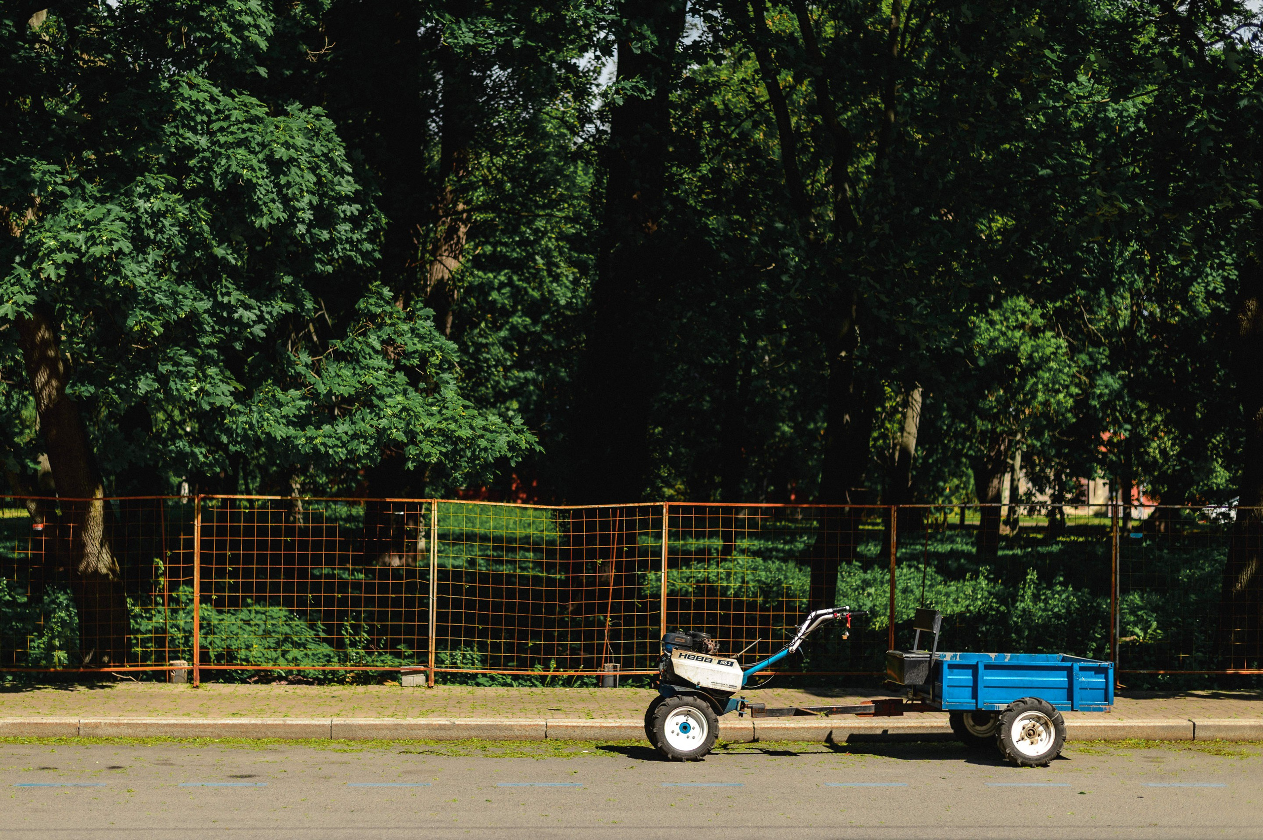 2025.06. Фотограф Алексей Алексеев
