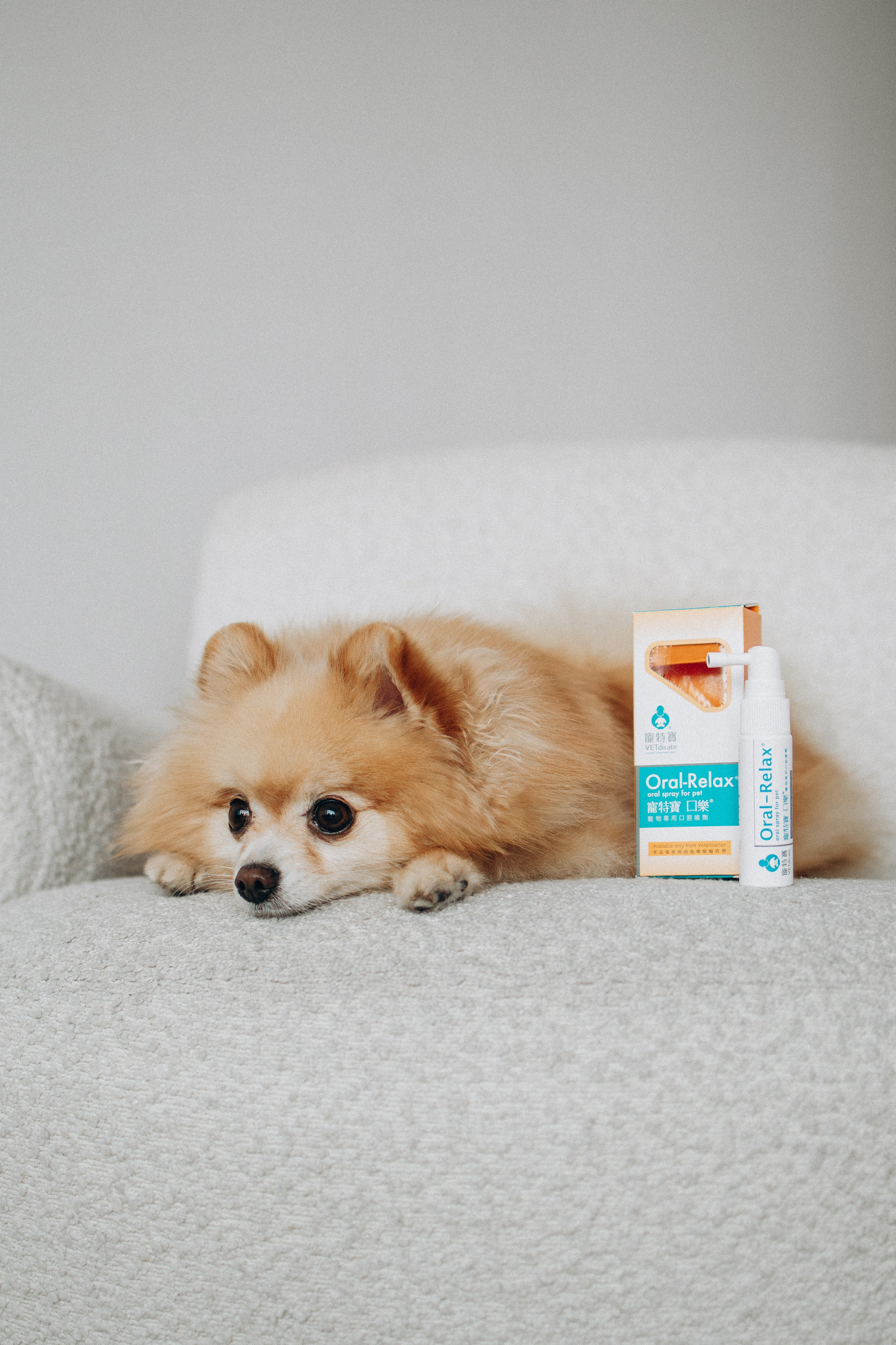 Orozyme&Emmiepet. Фотораф — анималист Мария Шистка