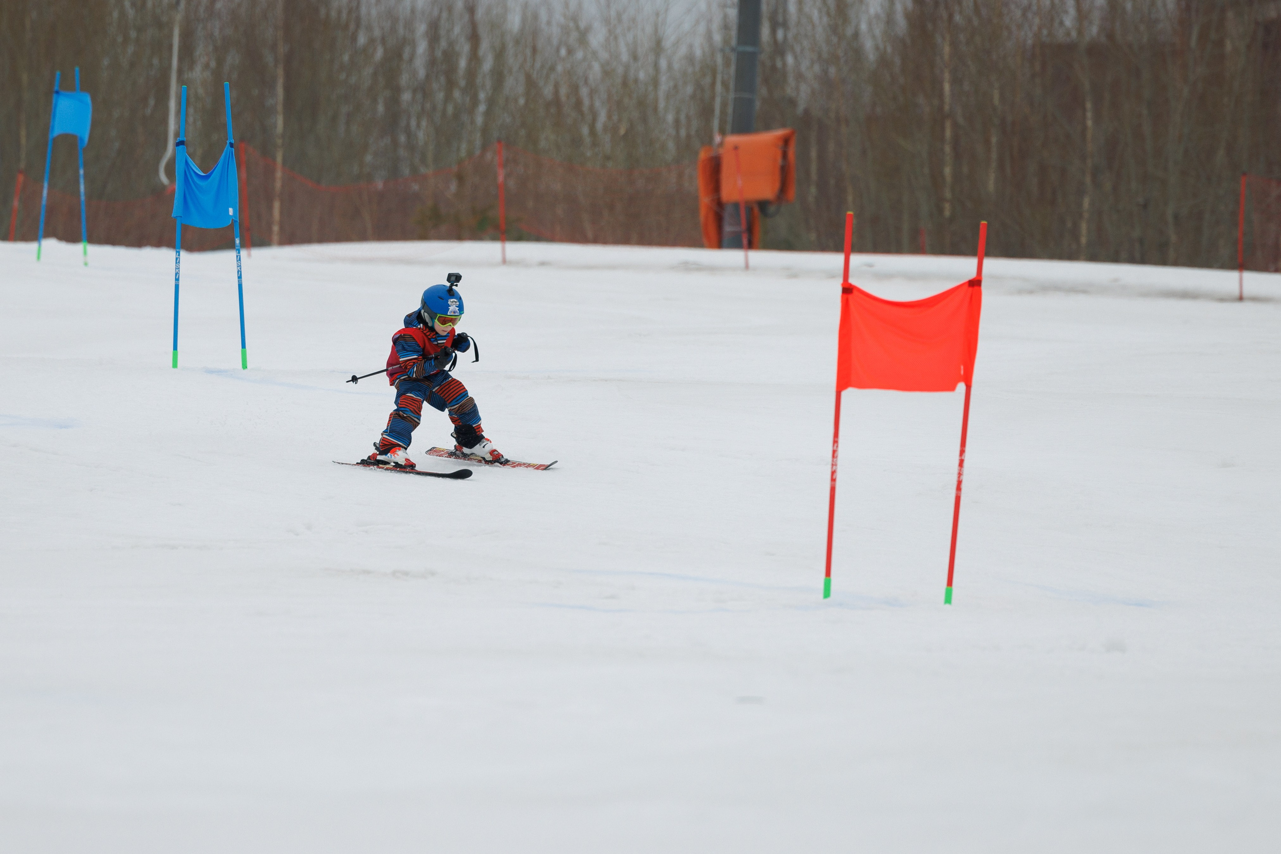 IGORA KIDS CUP 2024(spring). Фотограф Александр Заломаев