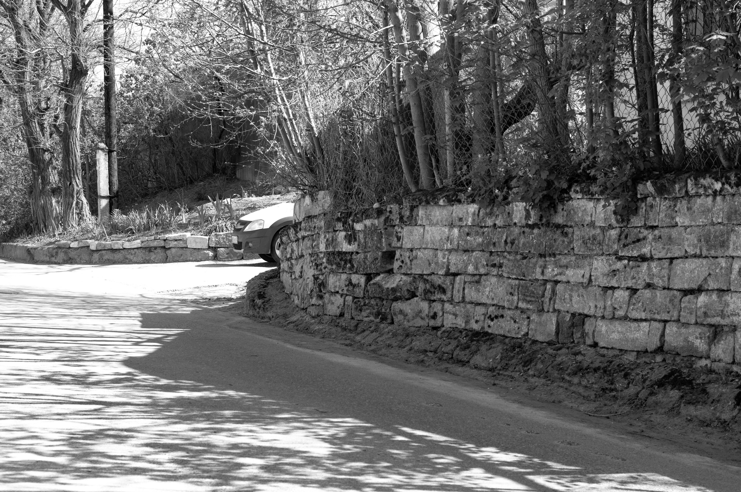 Для души. Сейчас вылетит ПТИЧКА! Фотосессии в Керчи