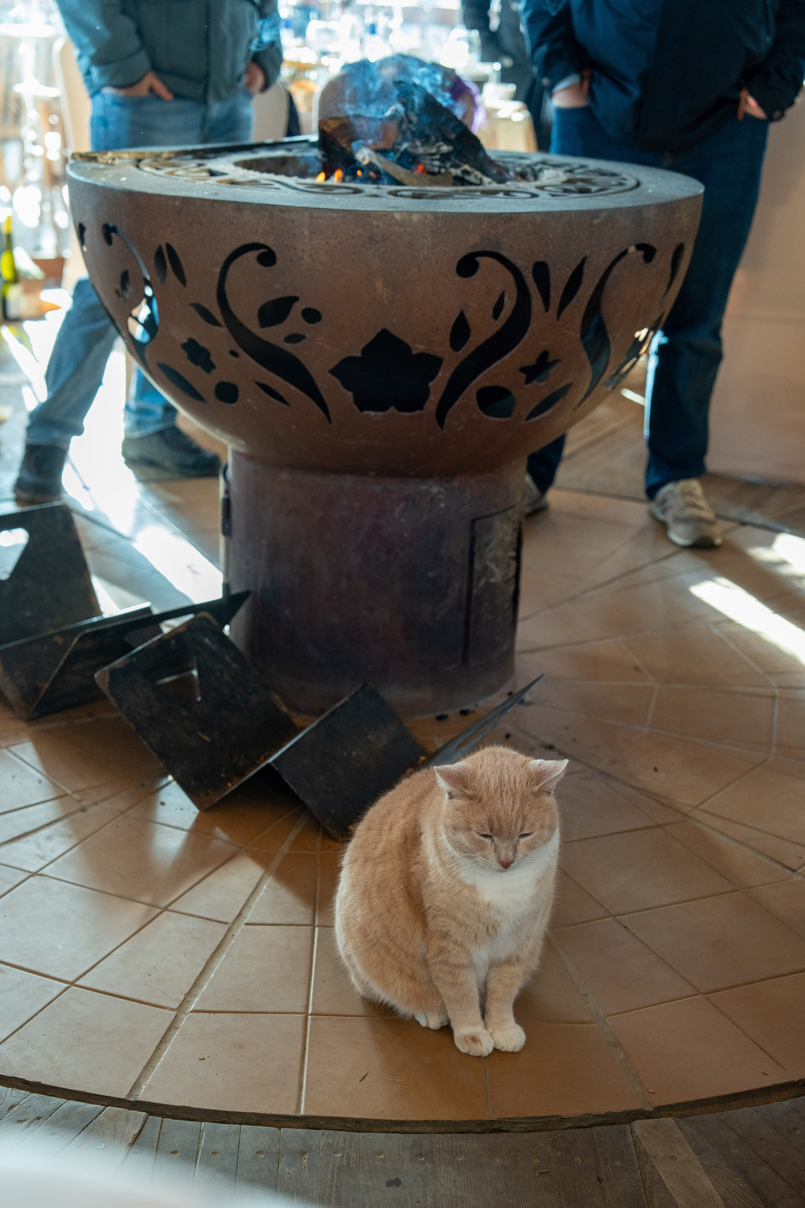 MICE мероприятие на ферме Экзархо. Репортажный фотограф в Красной Поляне и Сочи Павлюченко Екатерина