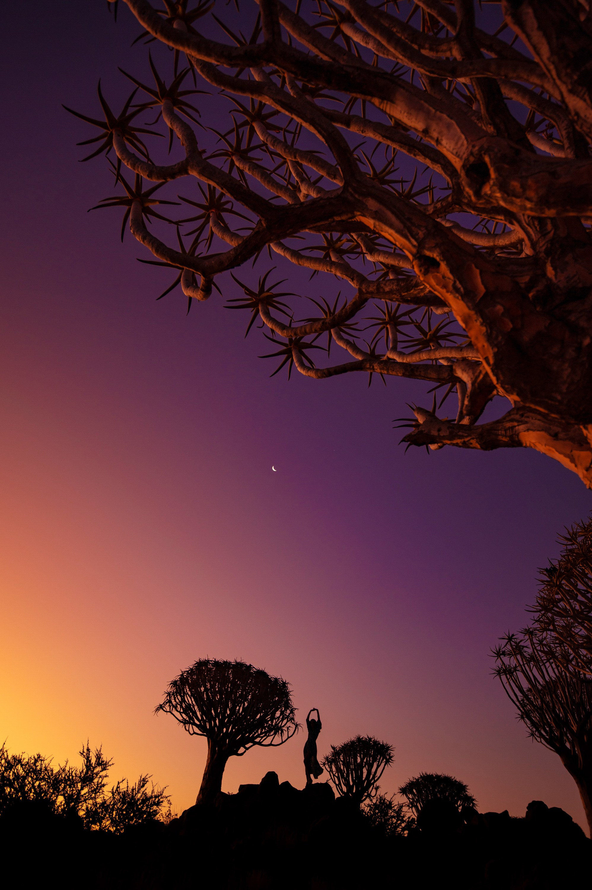 НАМИБИЯ. Роадтрип