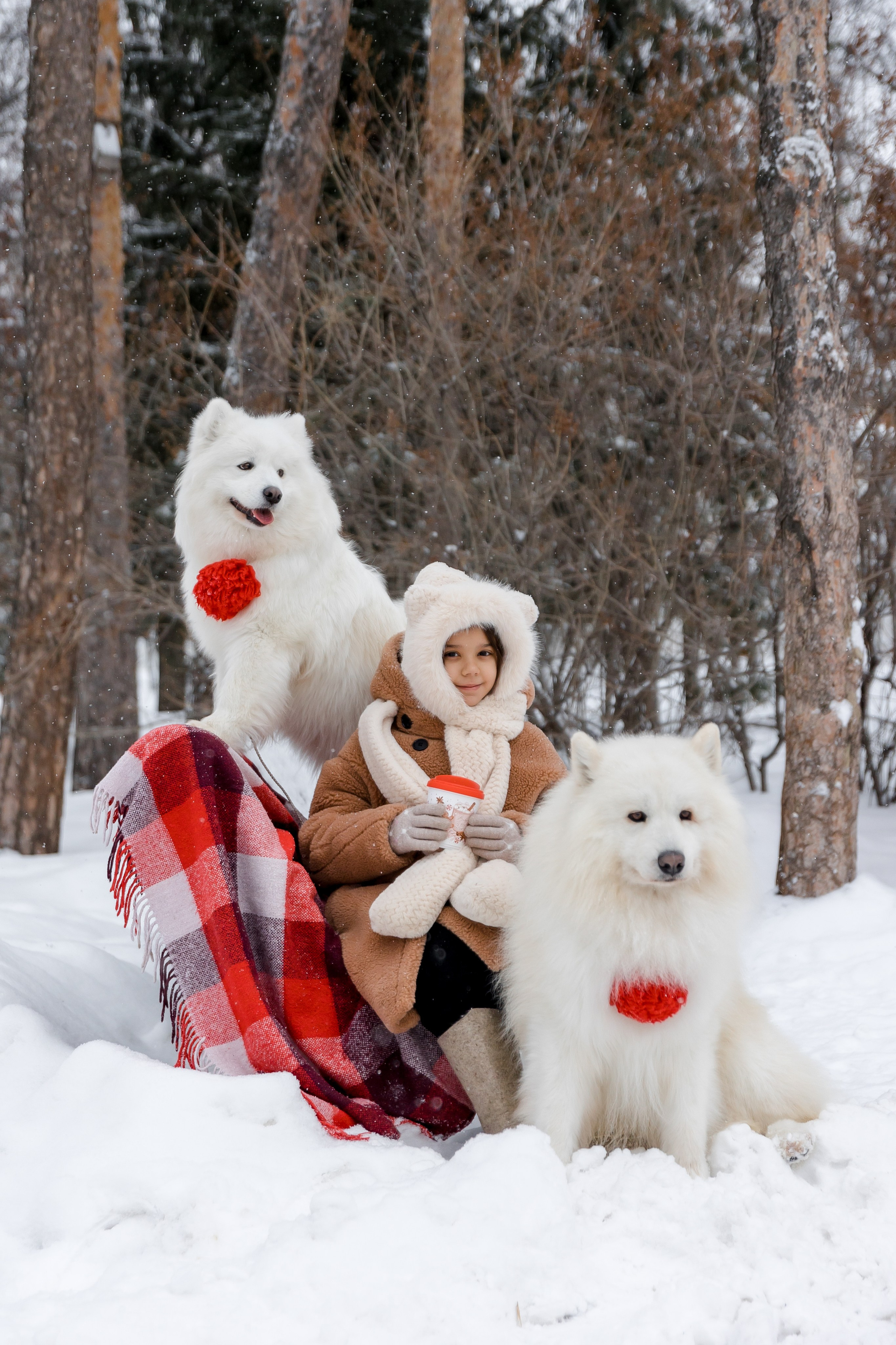САМОЕДЫ. Свадебный и семейный фотограф Динар Гильмутдинов