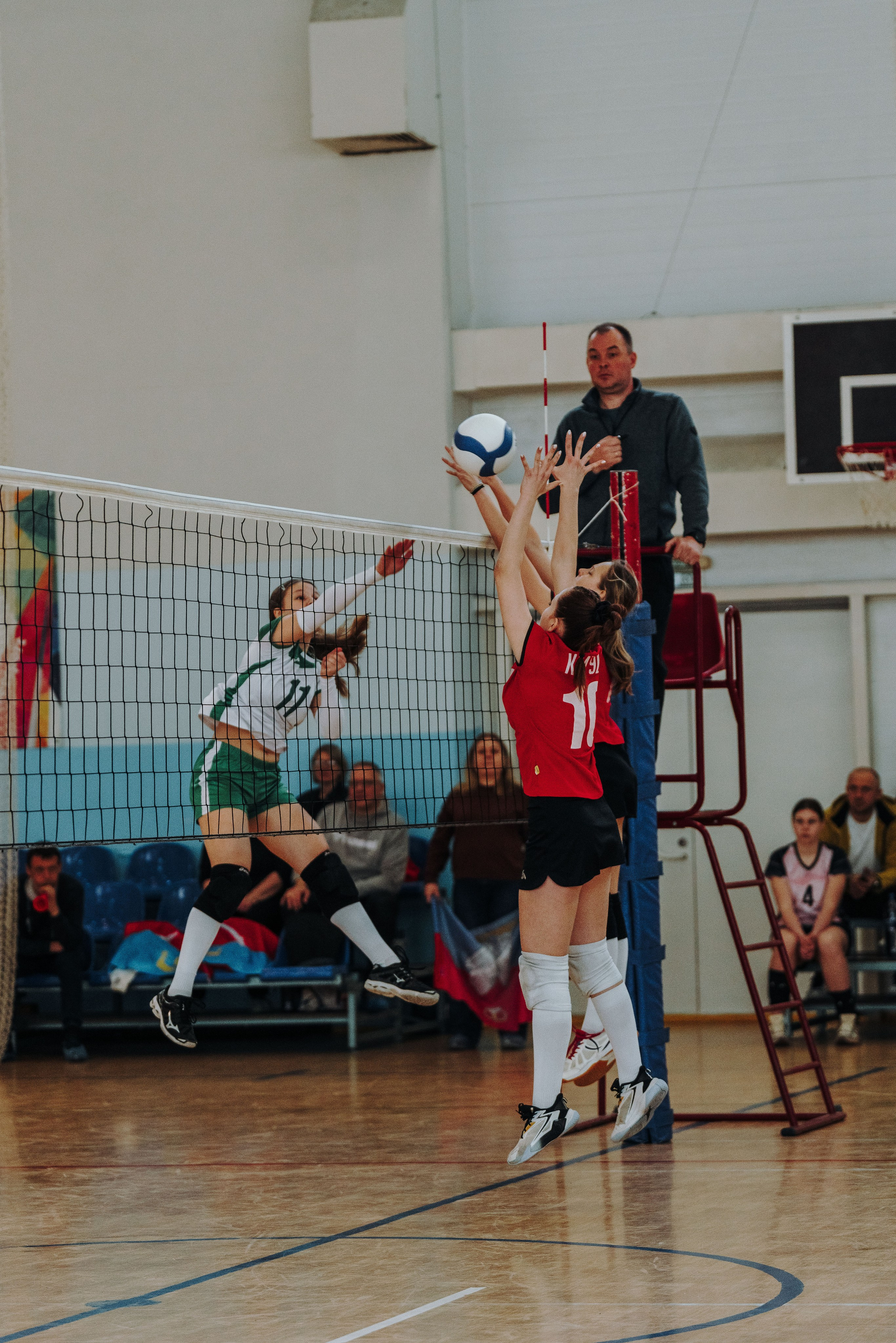 Волейбол торус. Фотограф-анималист в Санкт-Петербурге