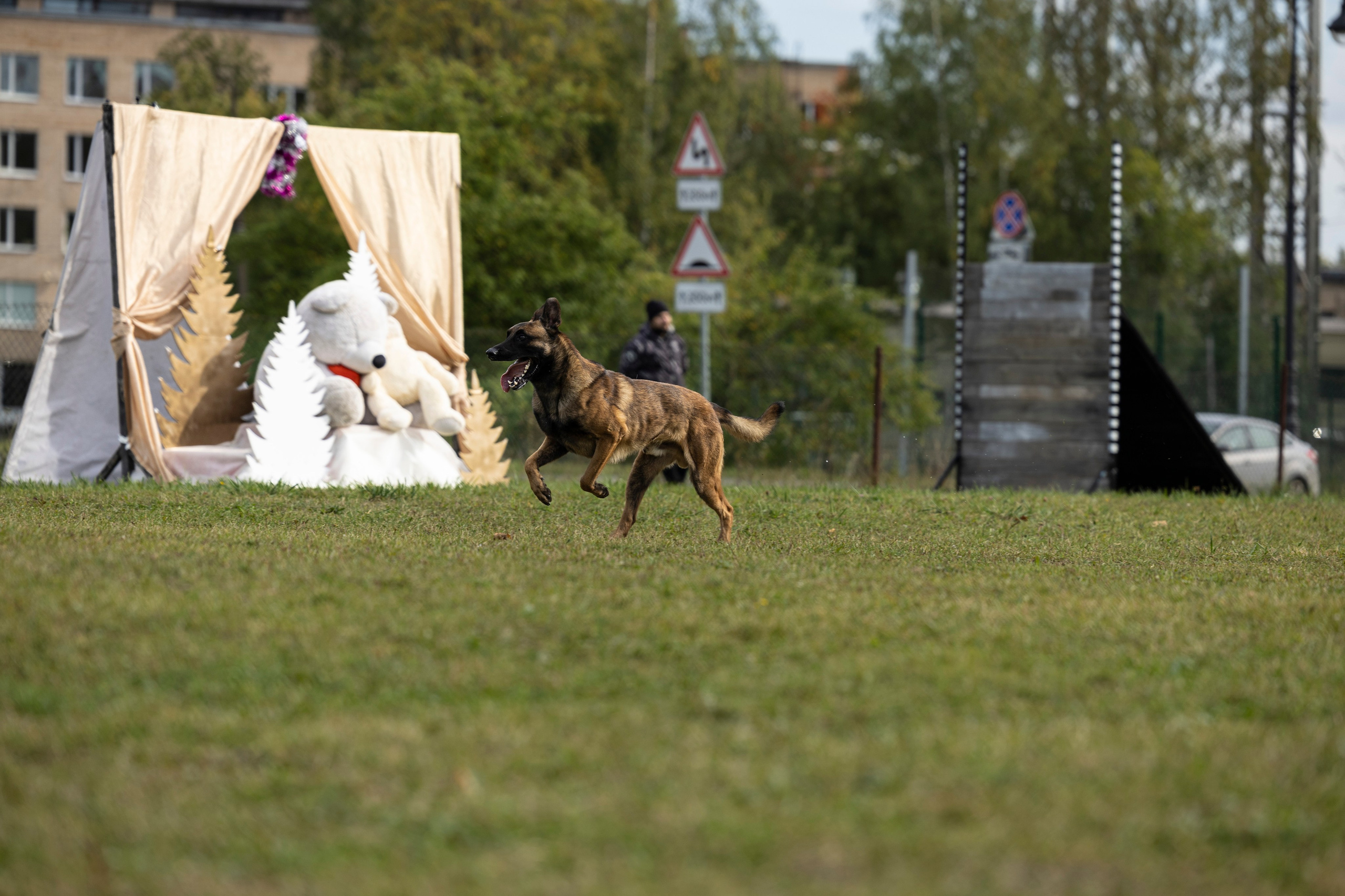 Испытания по Мондьорингу г. Пушкин. Фотограф-анималист Анна Маринич