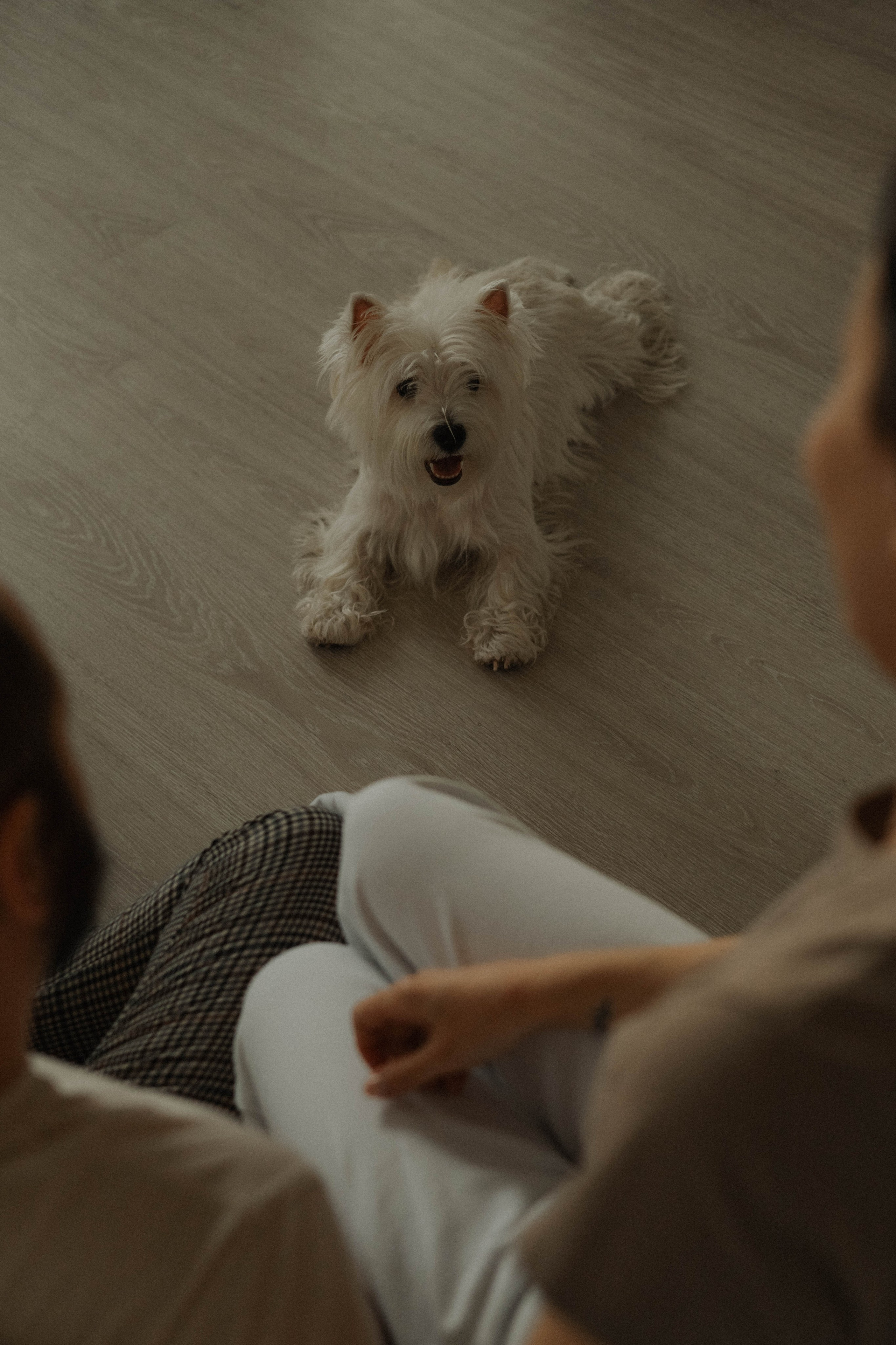 Семья Скрябиных. Семейный фотограф в Ижевске Даша Денисова