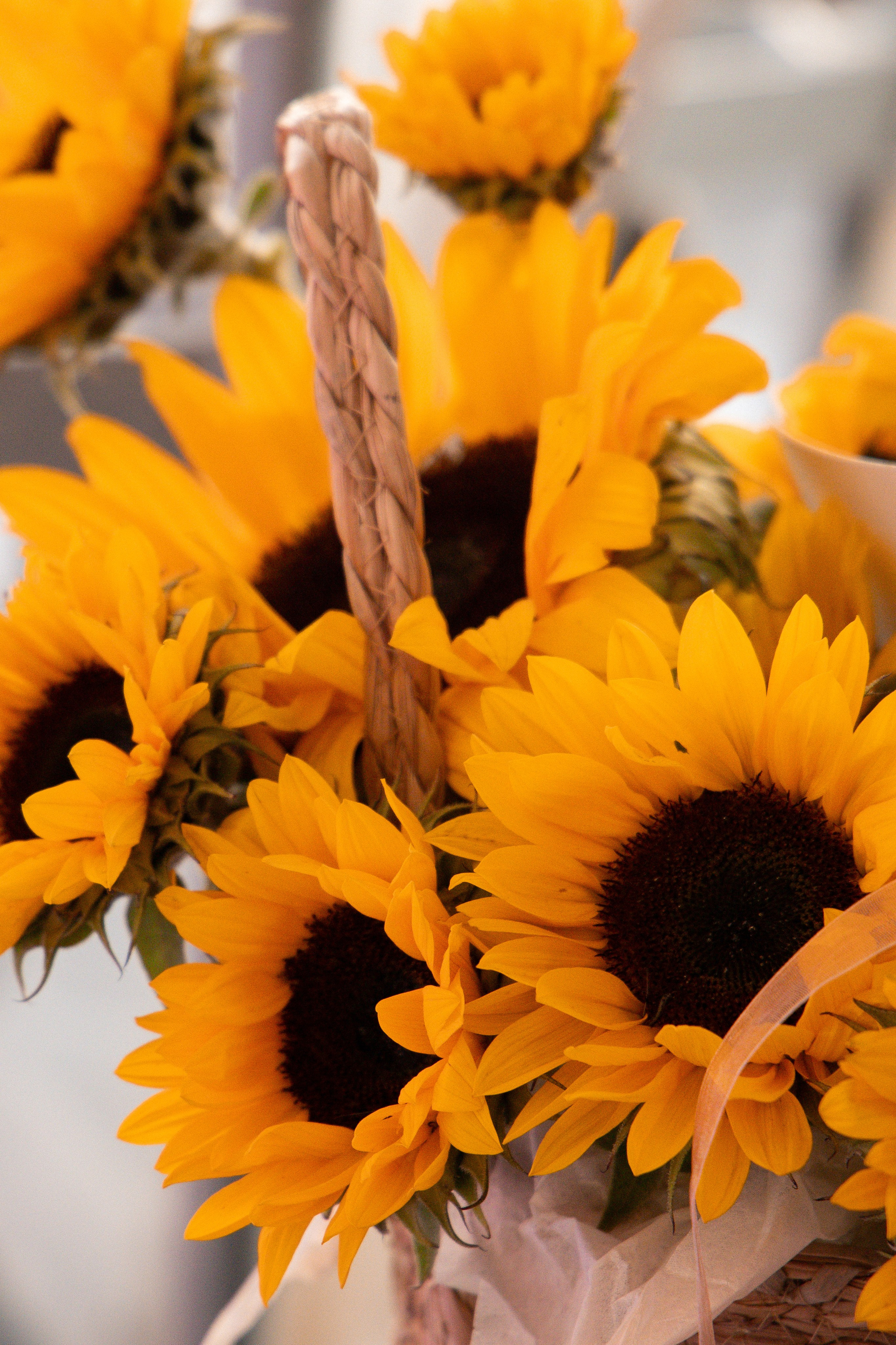 «Красностопъ Золотовский» третий винный фестиваль. Анна Рышкевич