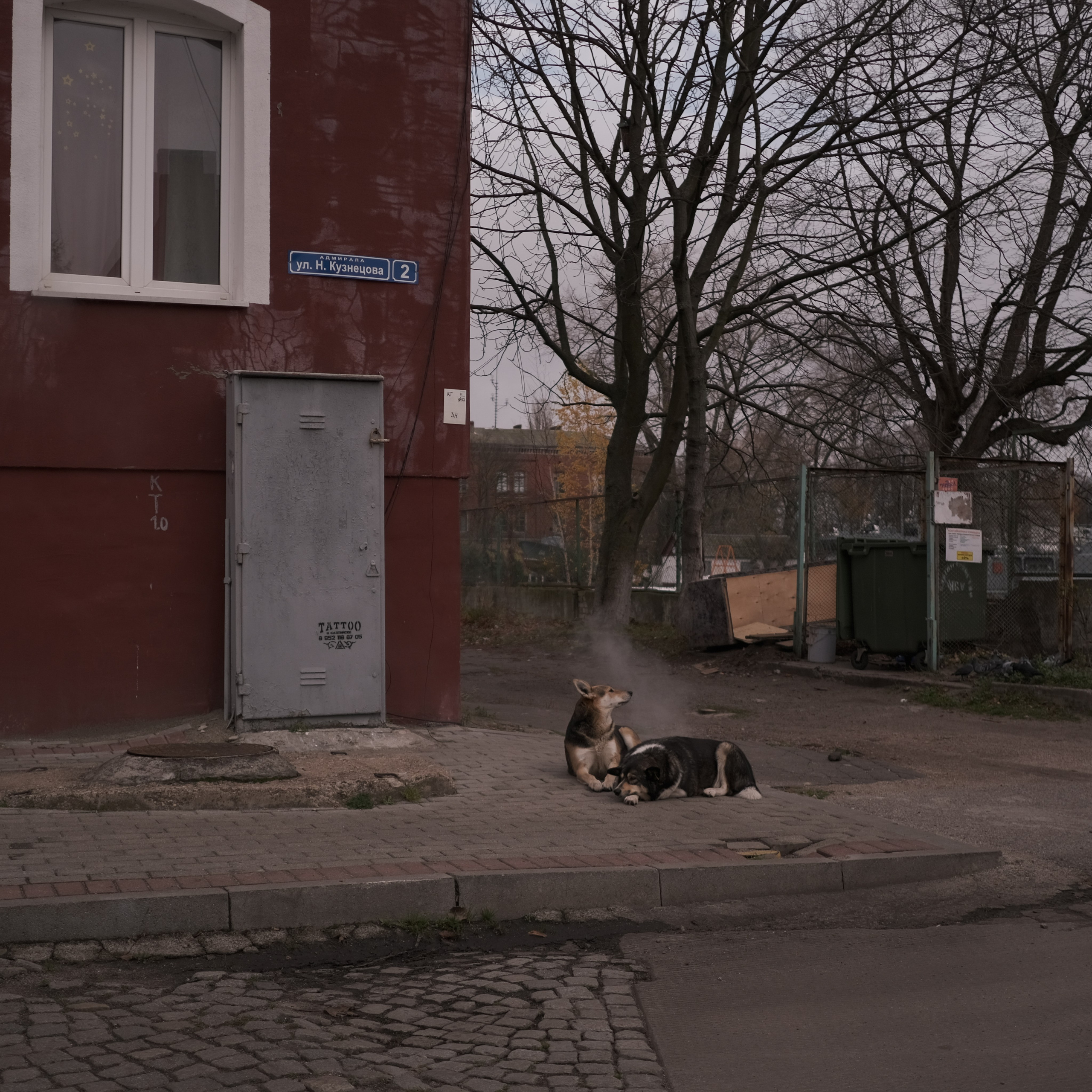 Калининград. LIYALEE PHOTO