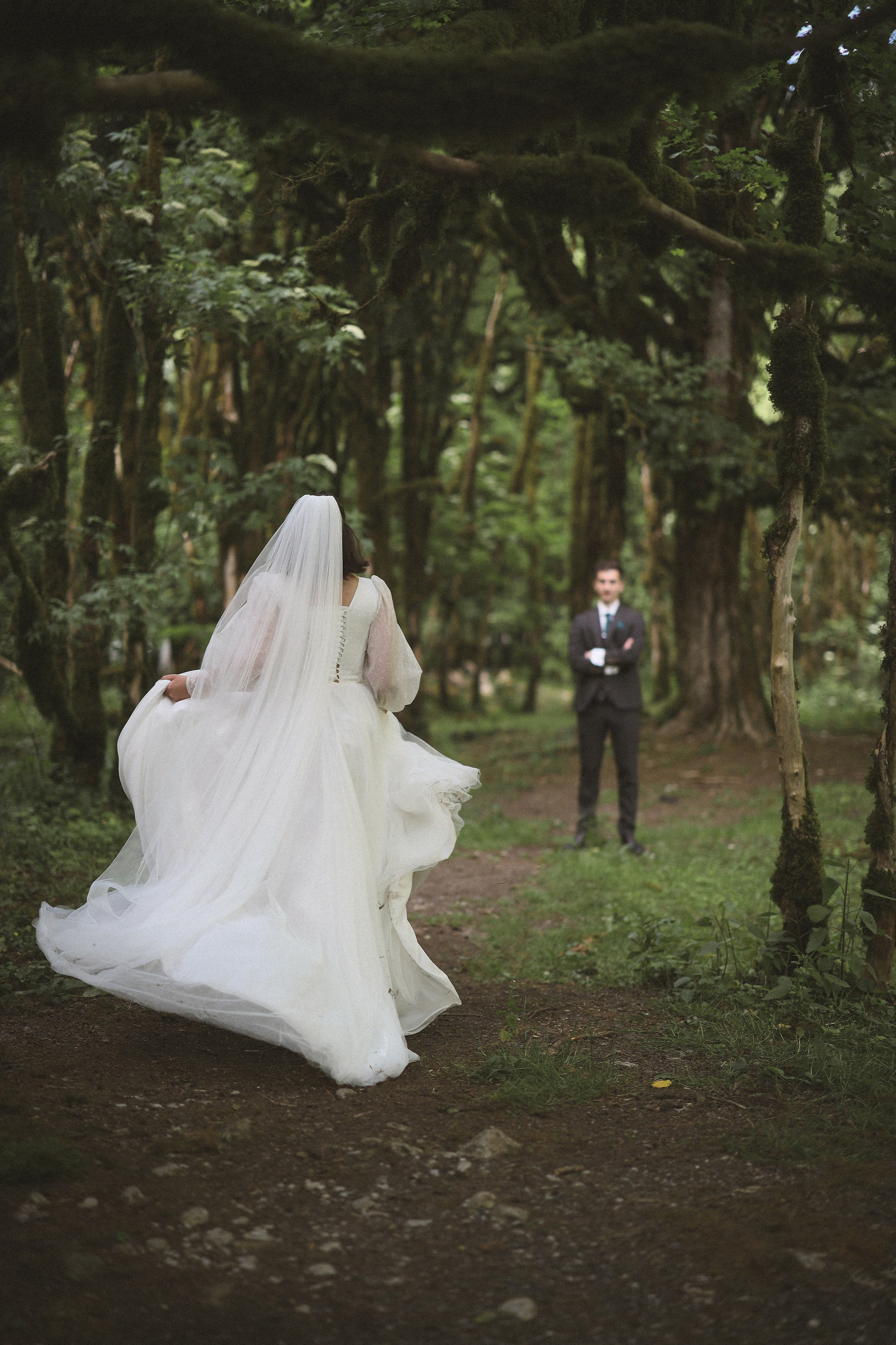 невеста и жених в самшитовом лесу Абхазия