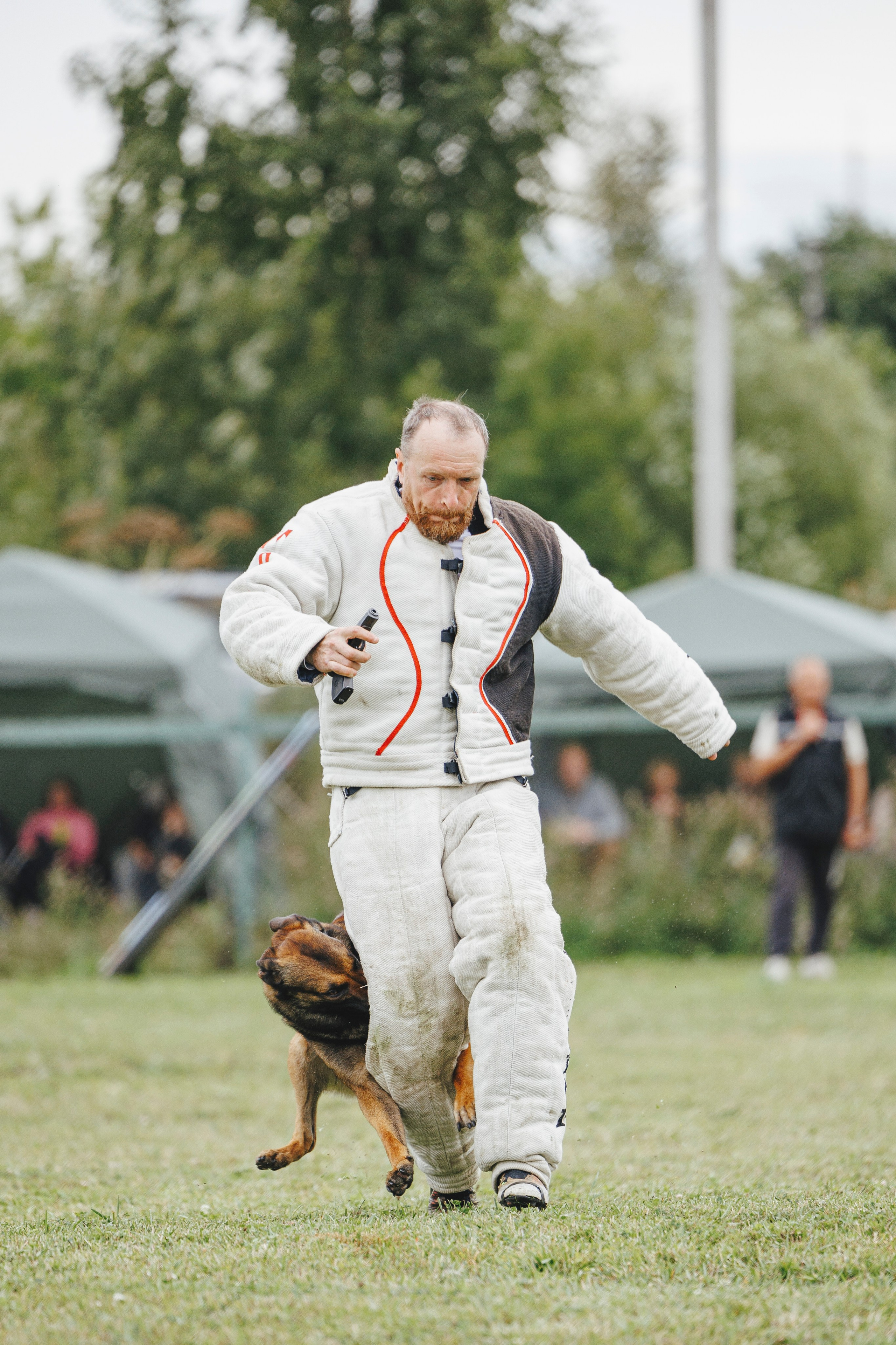 08.08.25-10.08.25 ЧР по мондьорингу г. Вологда. Фотограф-анималист Анна Маринич