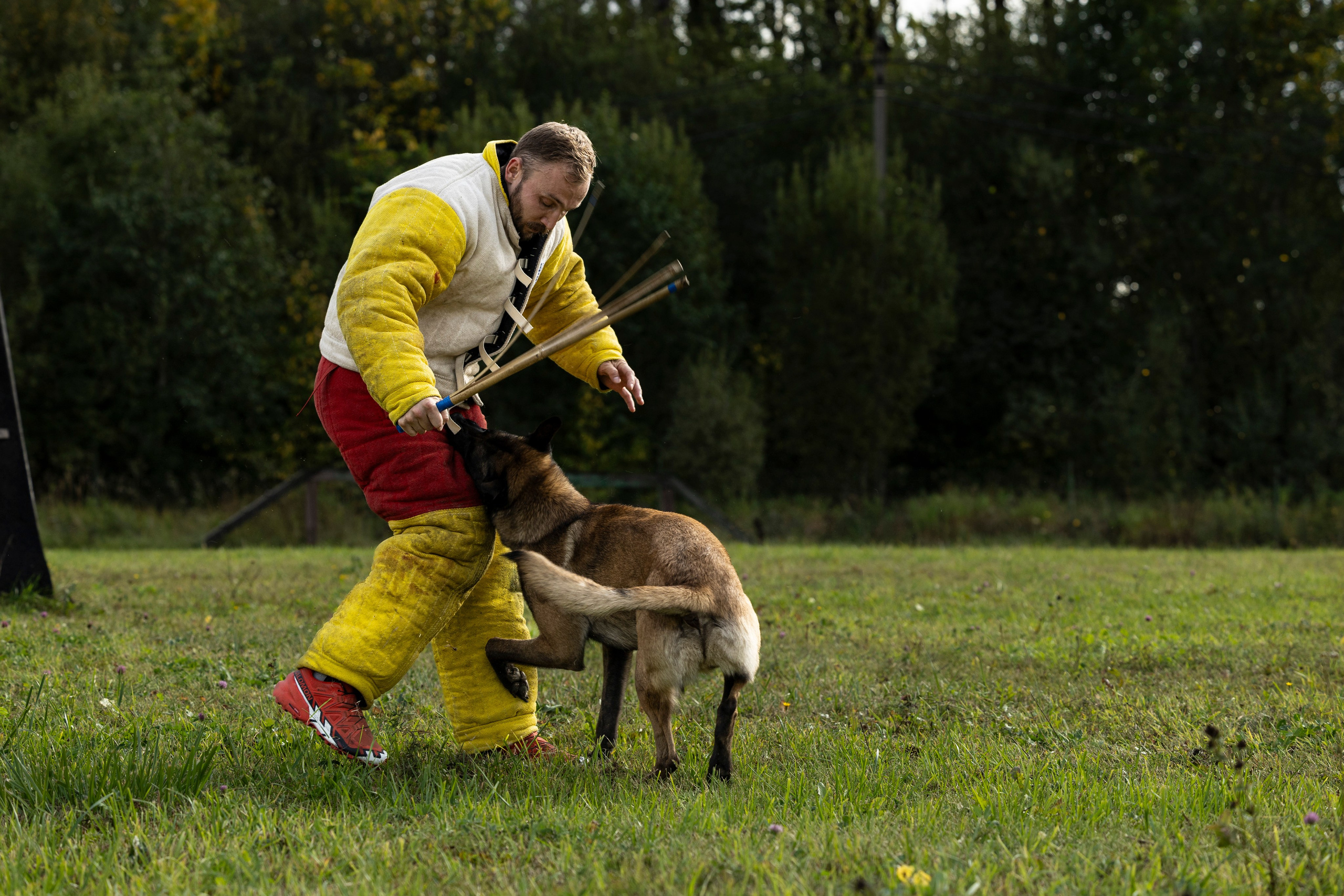Испытания по Мондьорингу г. Пушкин. Фотограф-анималист Анна Маринич