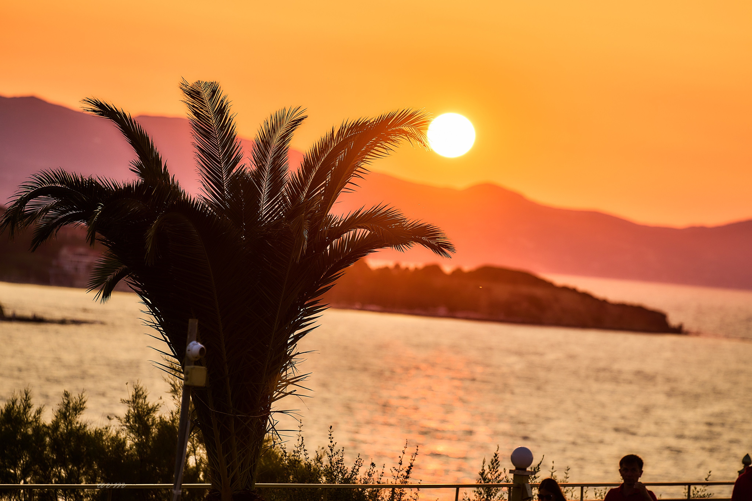 Закинтос Груция2023. Фотограф Михеев Андрей