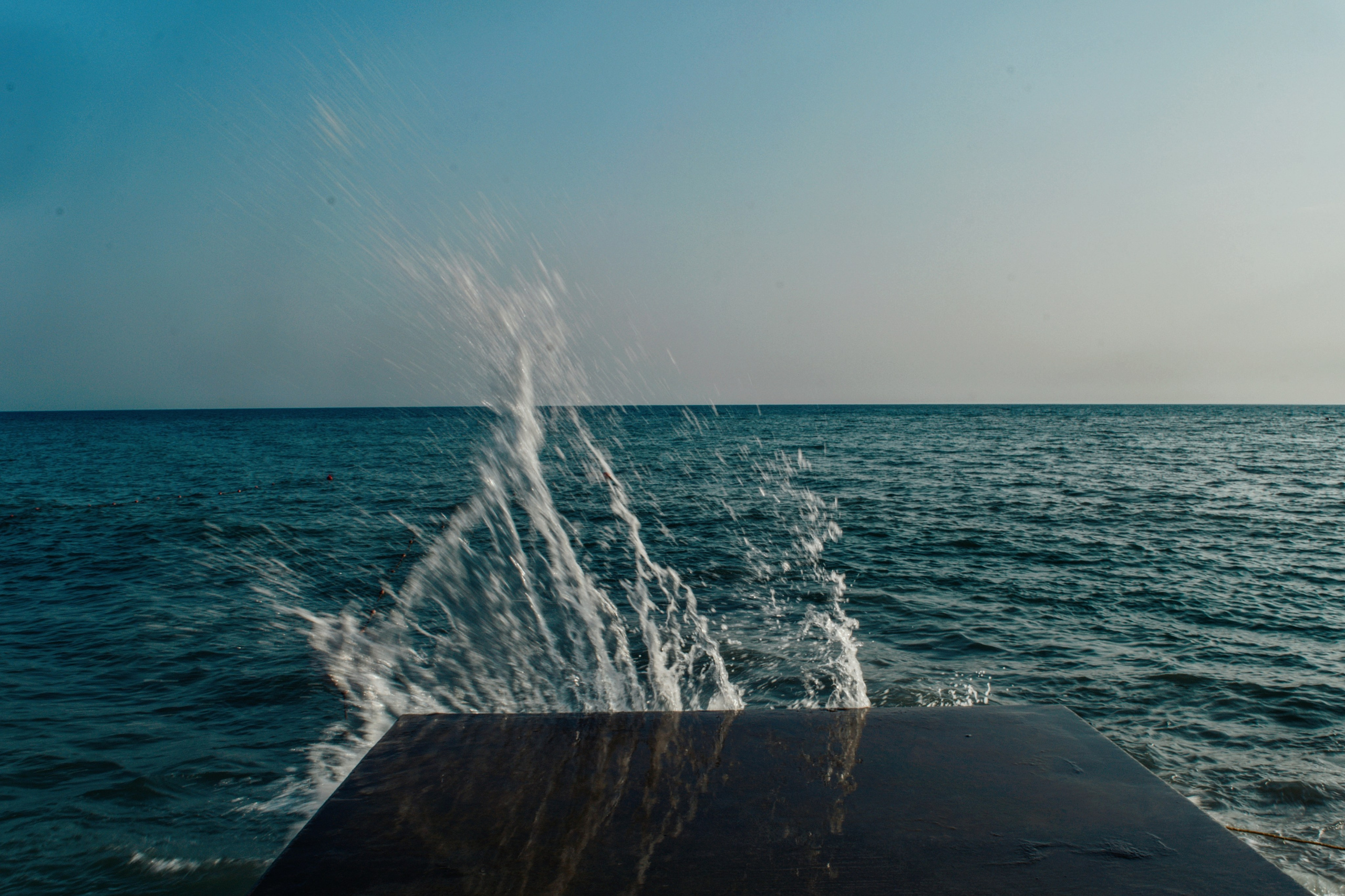 Мир вокруг. Фотограф • Елена Миронова