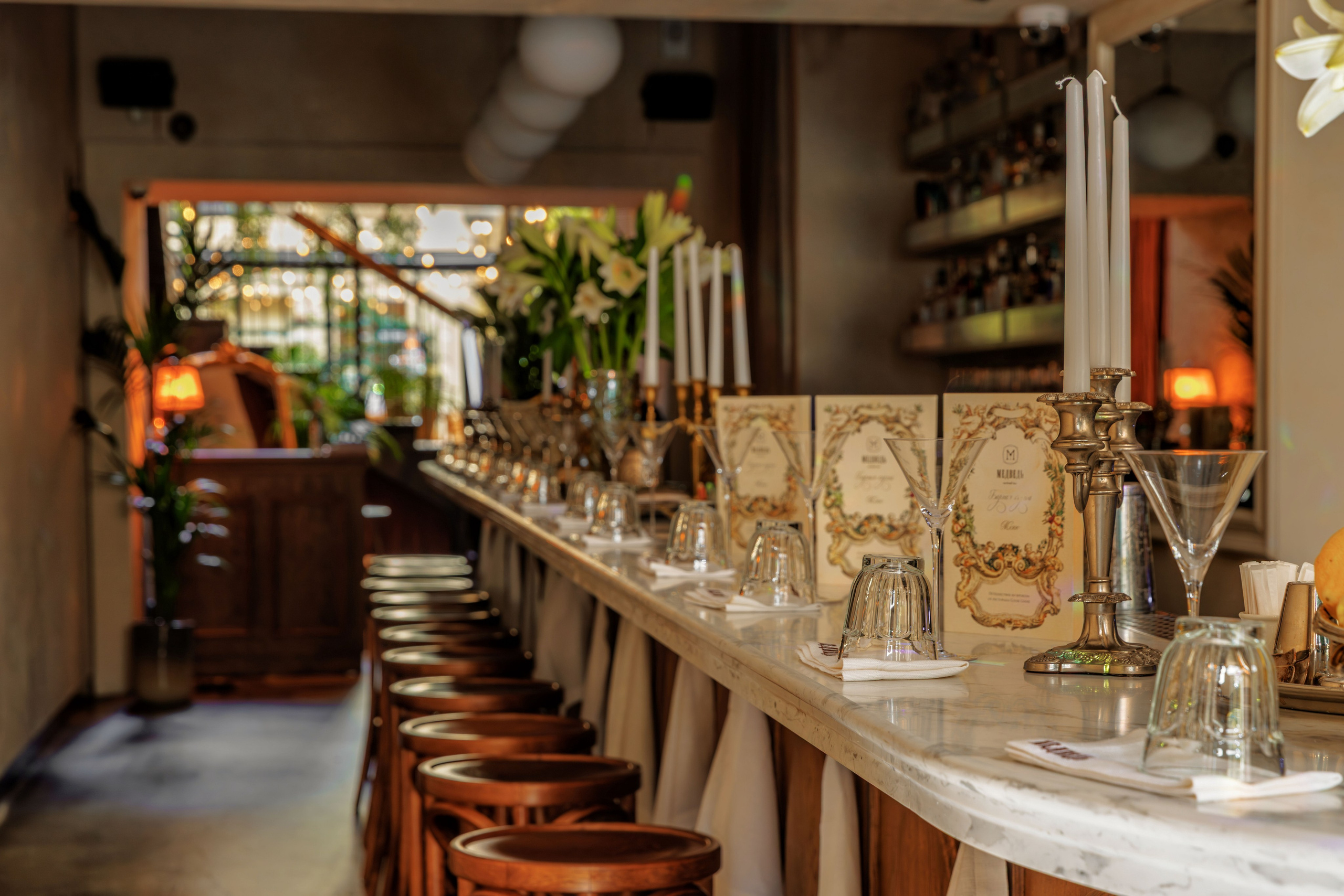 Медведь. Репортажный фотограф в Санкт-Петербурге Жолудев Владислав