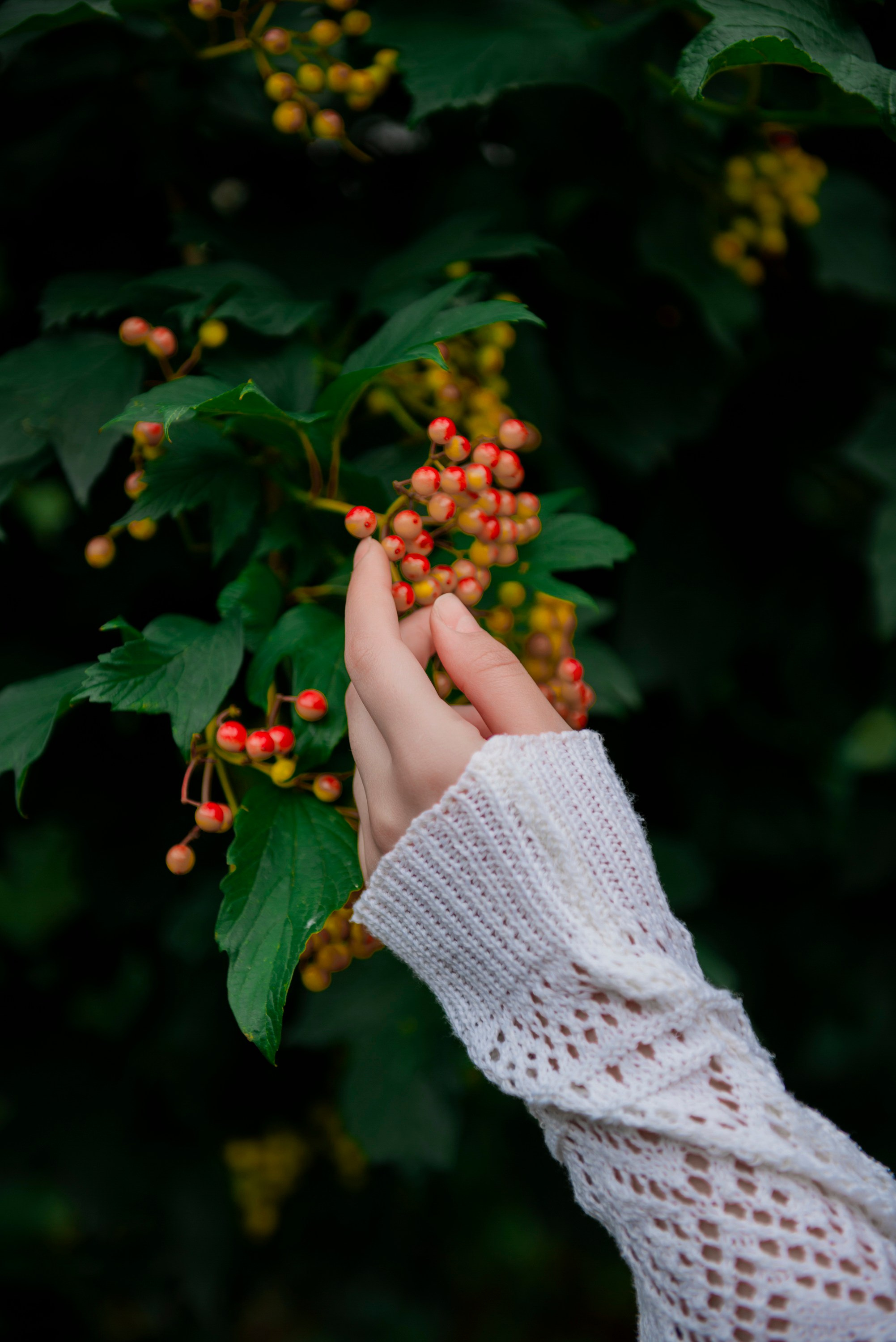 Милана и Эльда. Фотограф. Северная — Осетия