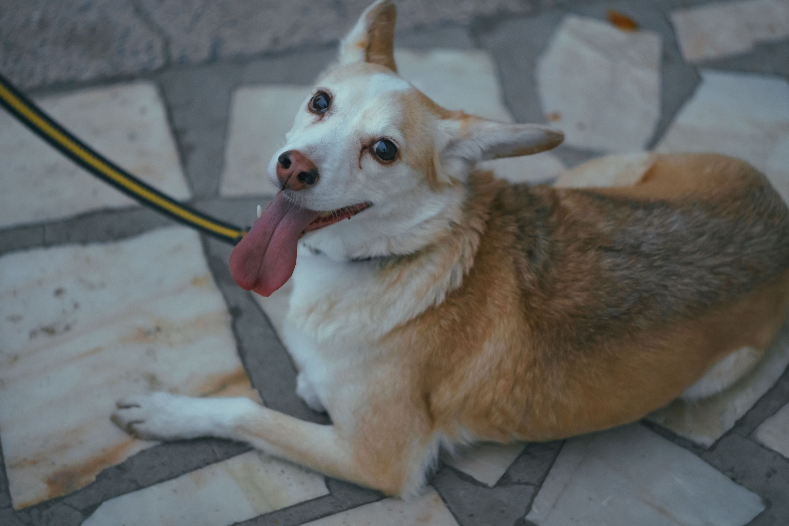 Соня. Фотограф в Кстово и Нижнем Новгороде KOLOSOK