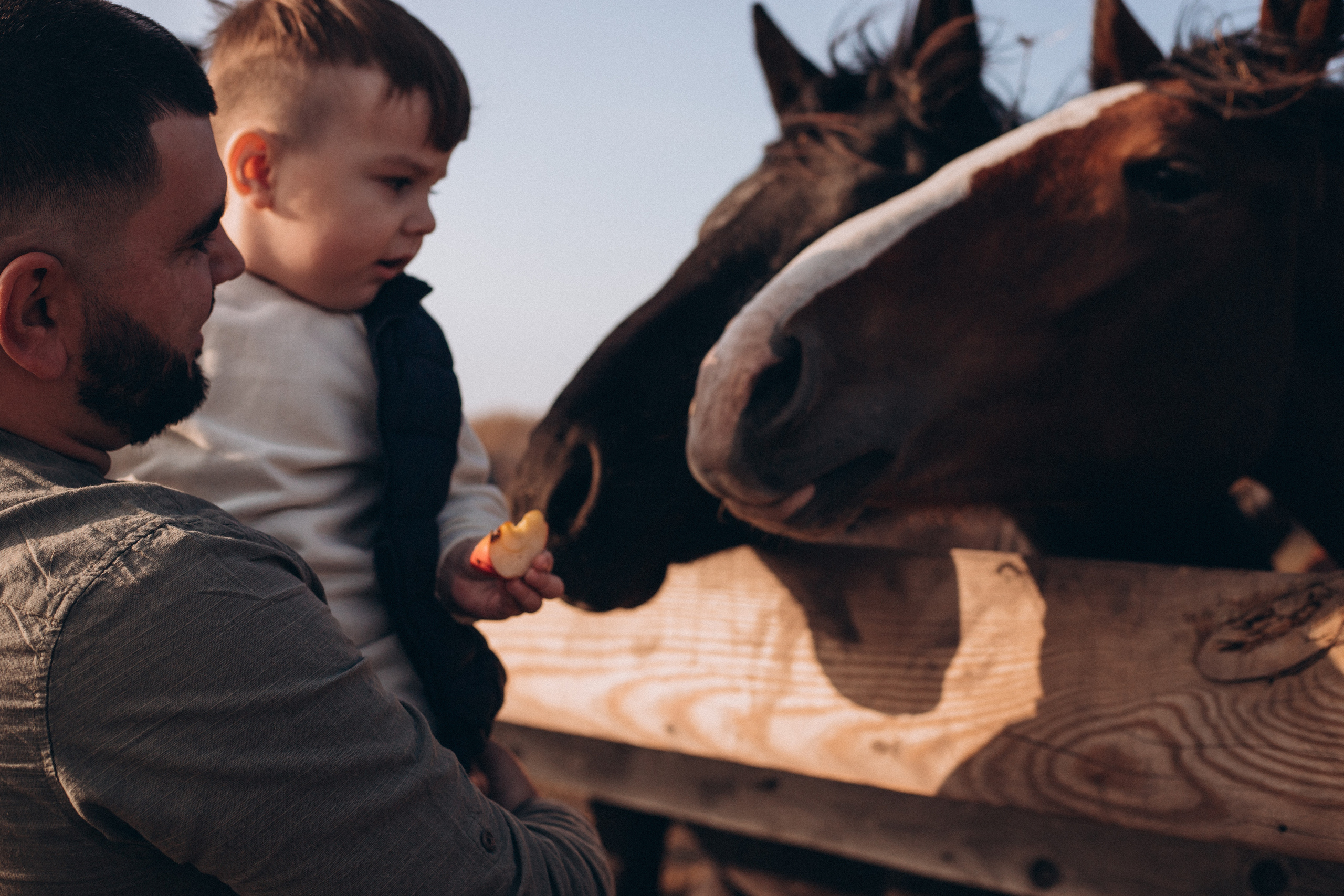 Валерий Анастасия Максим. Семейный фотограф Нижневартовск Тюмень Ефимова Ирина