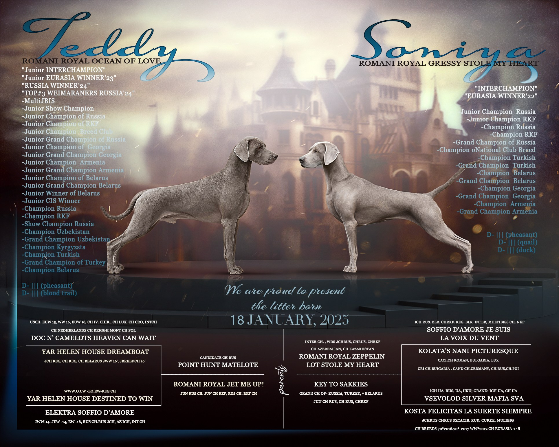 Презентация. Фотограф