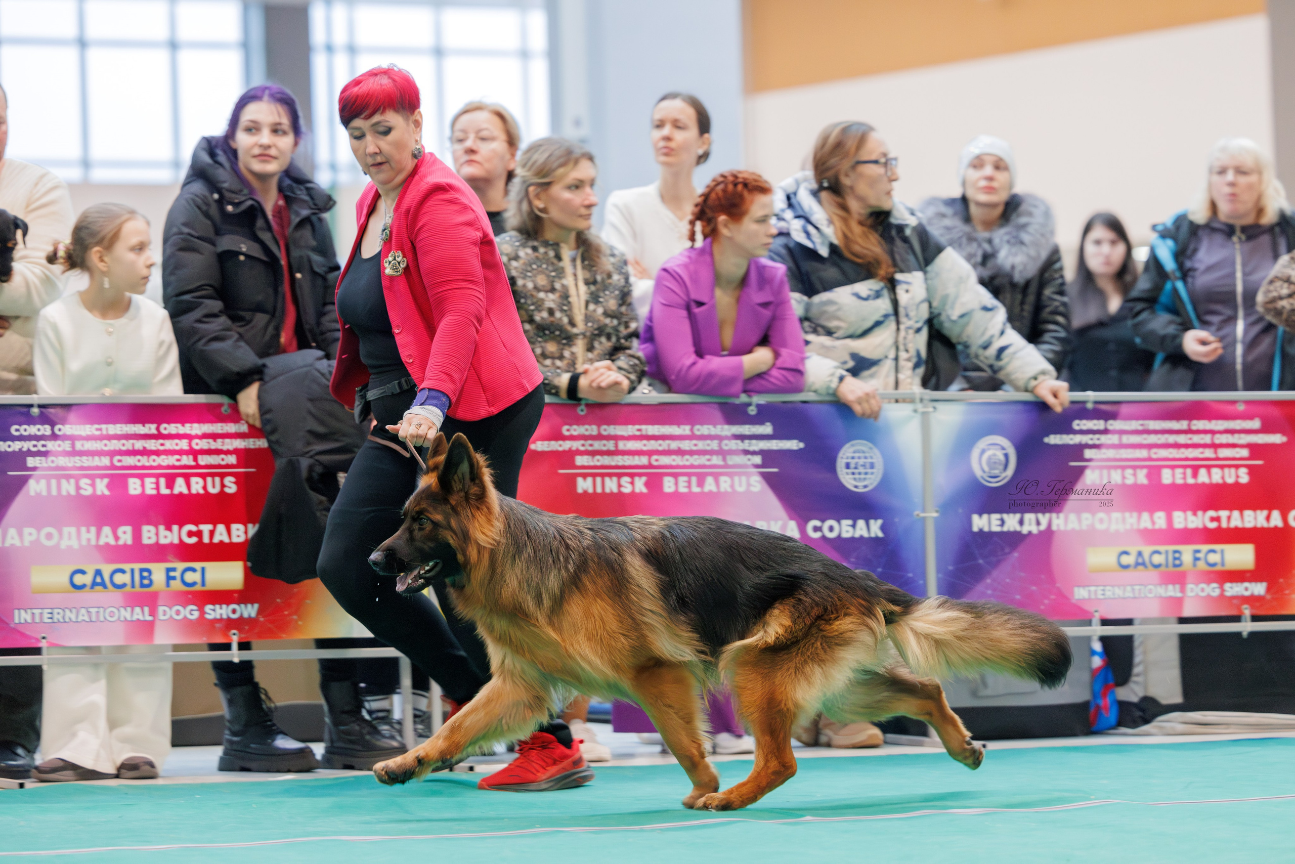 Минск 1-2.03.2025. Фотограф-анималист Юлия Германика