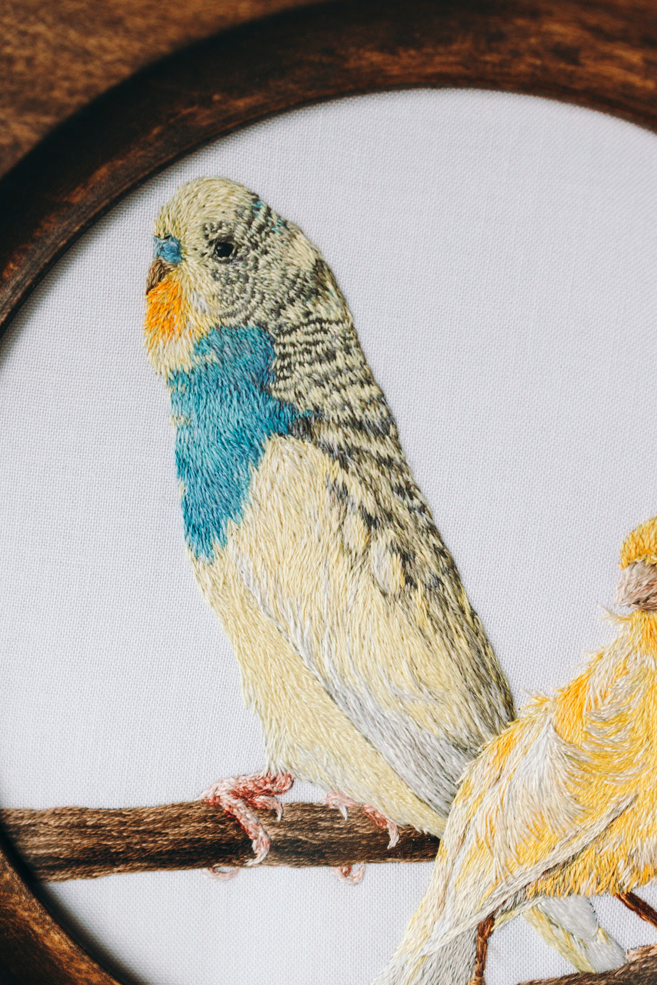 Портфолио. Портретная вышивка питомцев