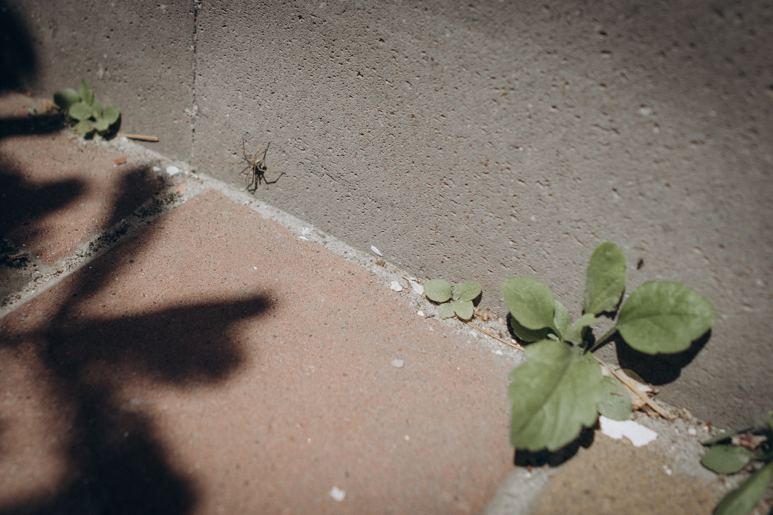 Крещение Томы. Семейный фотограф и фотограф на роды в Ростове-на-Дону Мухина Виктория