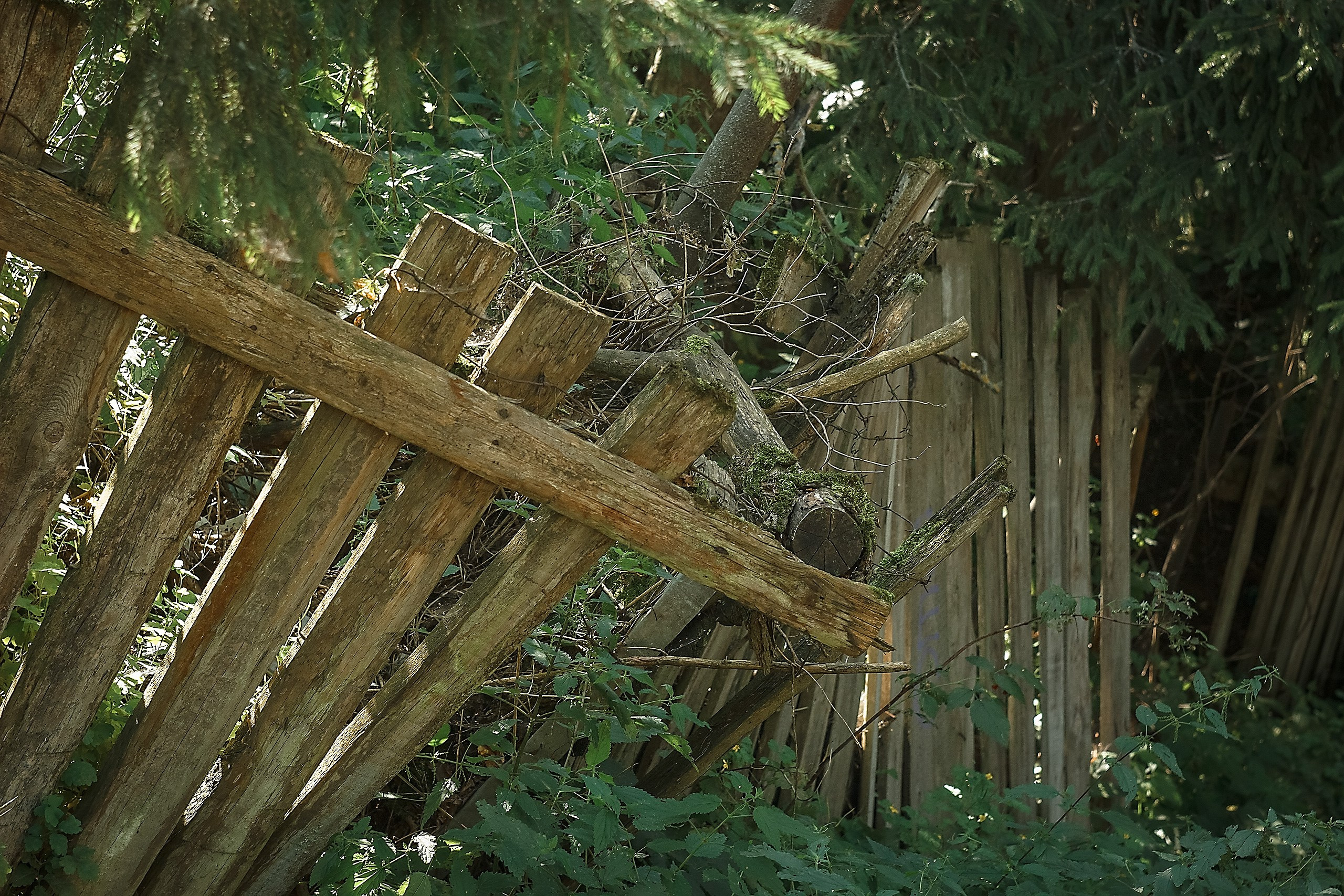 Границы и Рамки. Аmat Victoria Сuram