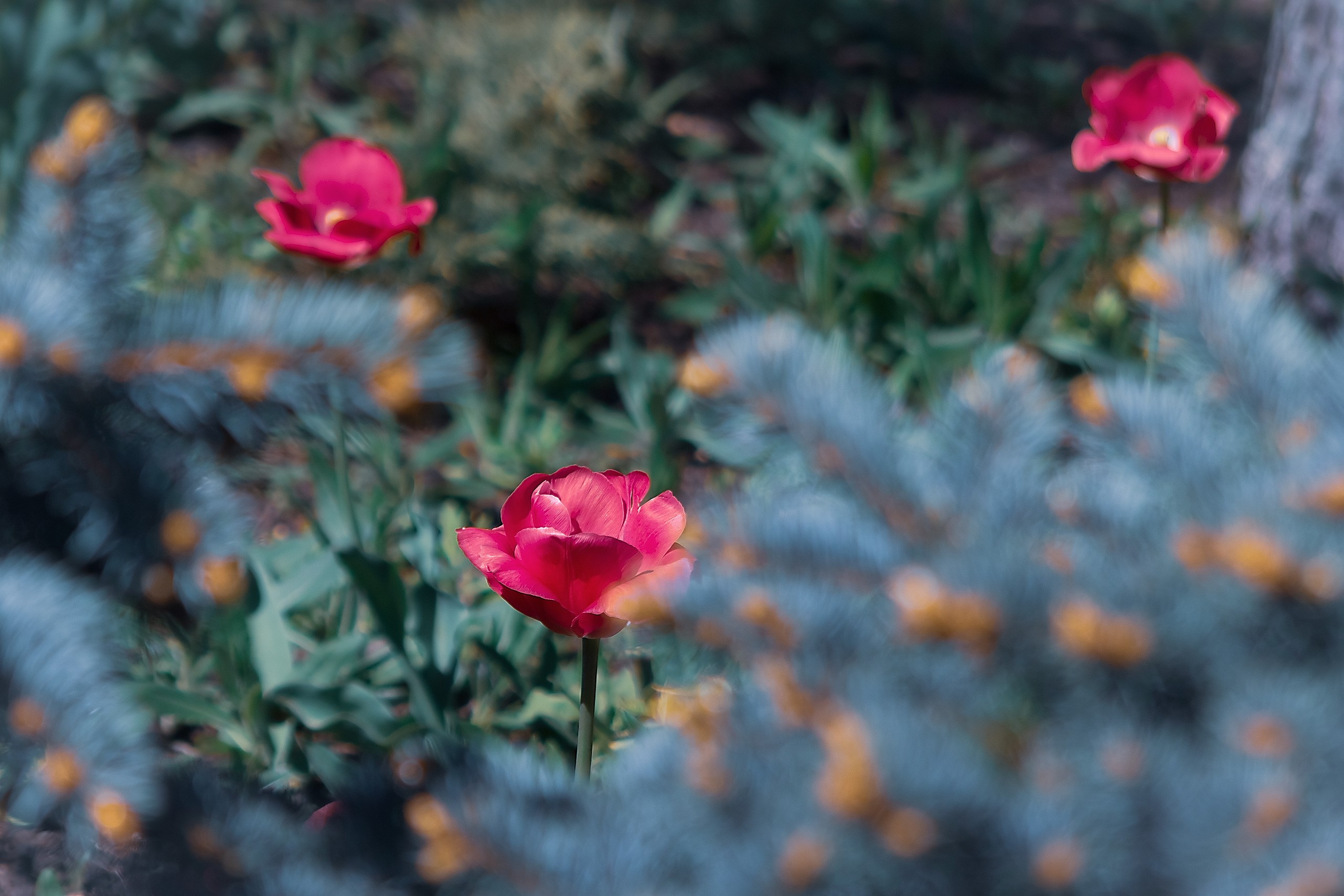 Великое в Малом. Аmat Victoria Сuram