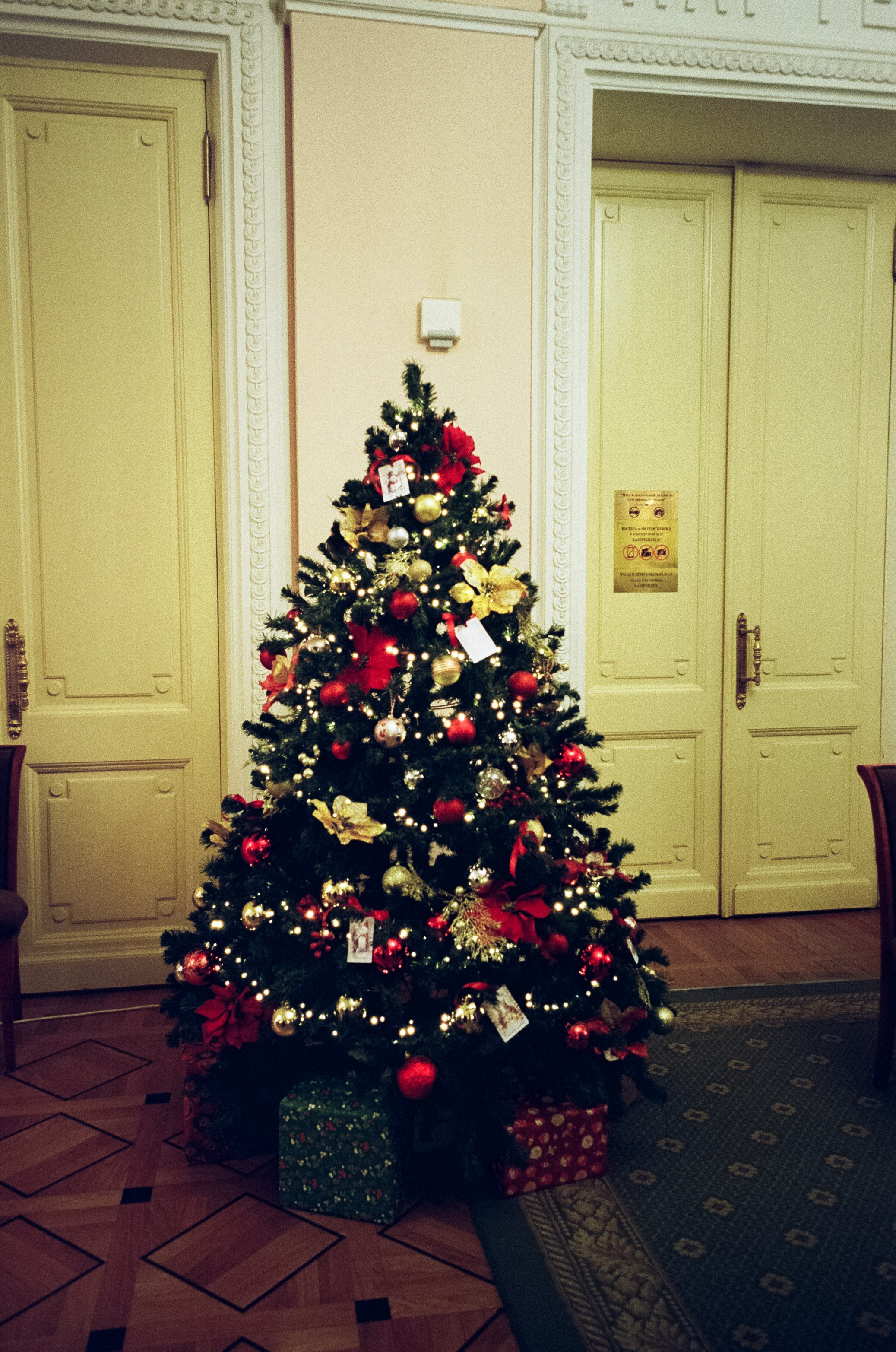 Рождество в Консерватории. Фотограф-документалист Мария Осокина