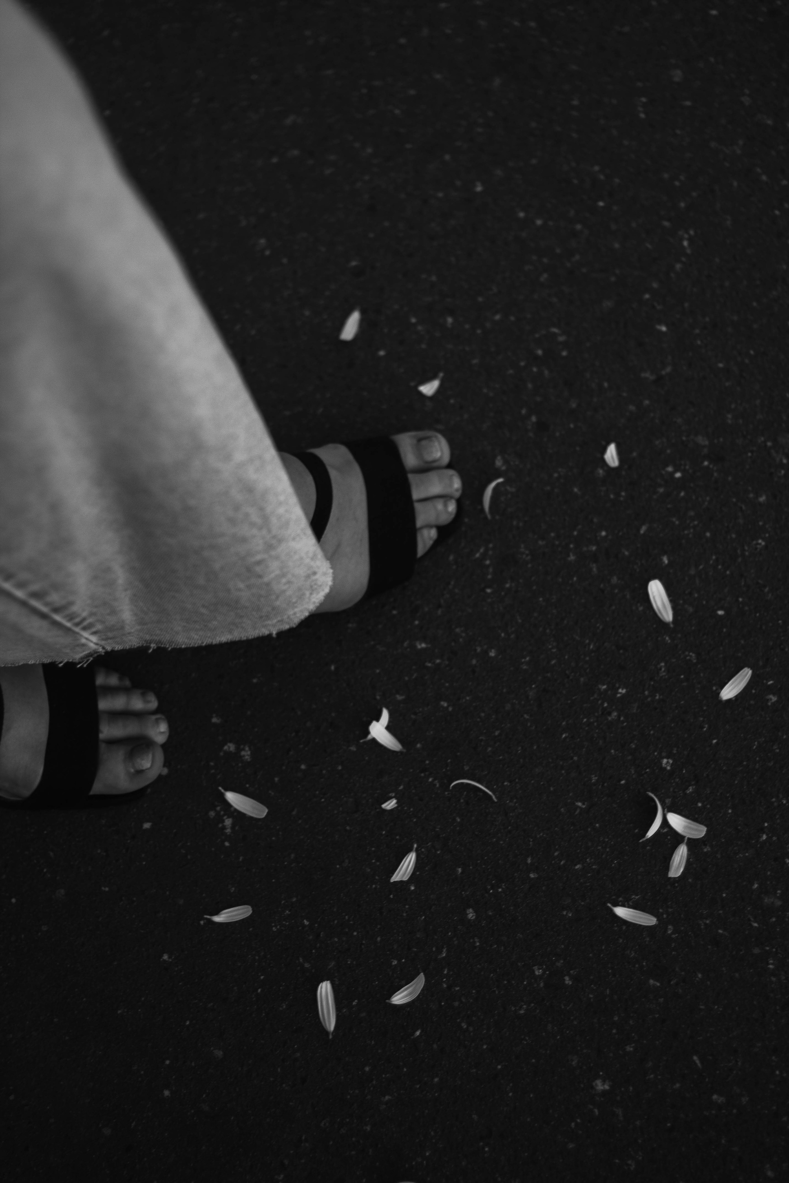 Виктория, ромашки и летний закат. Фотограф в Санкт-Петербурге Головина Анастасия