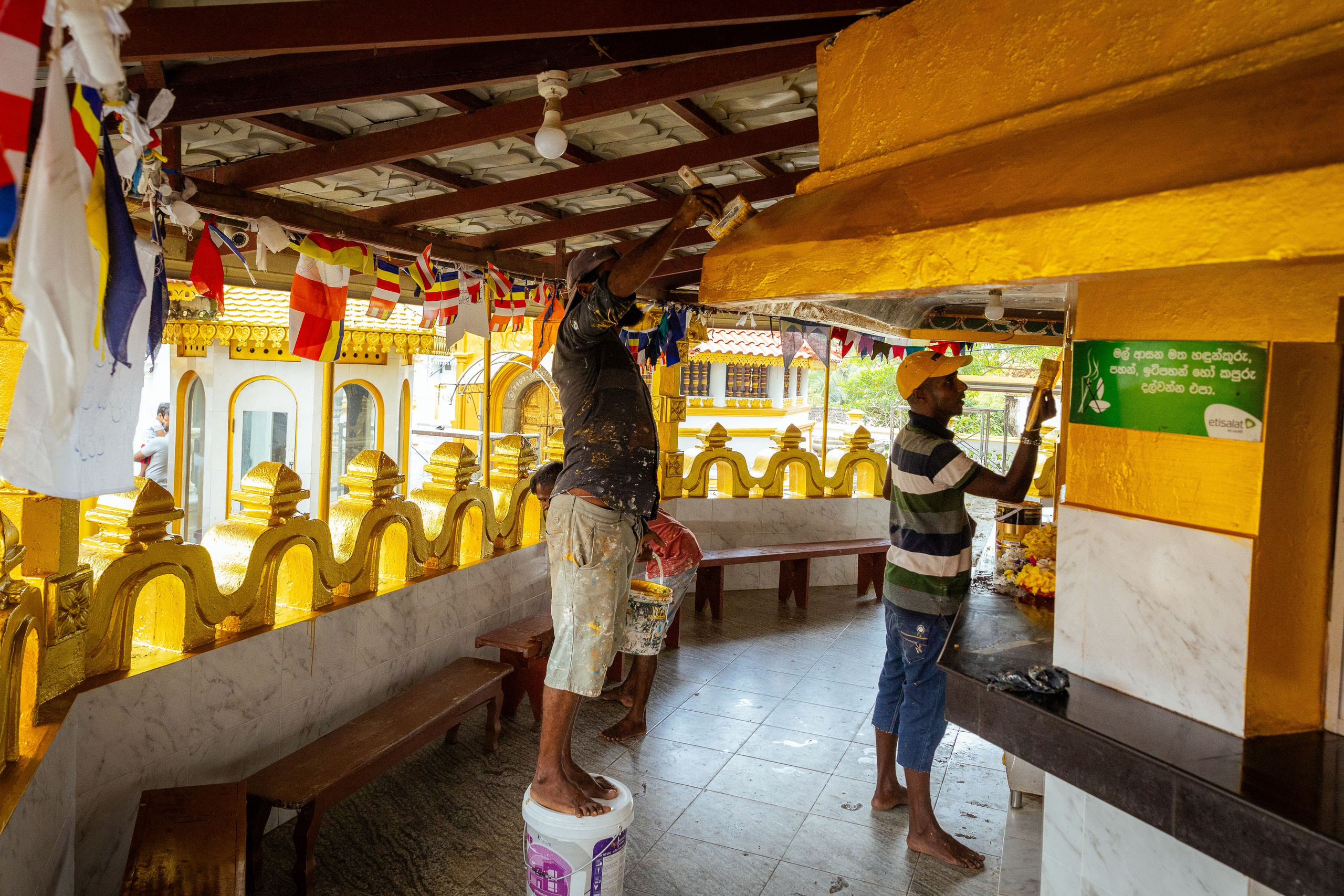 Шри-Ланка (весна 2024). Фотограф Виноградов Константин