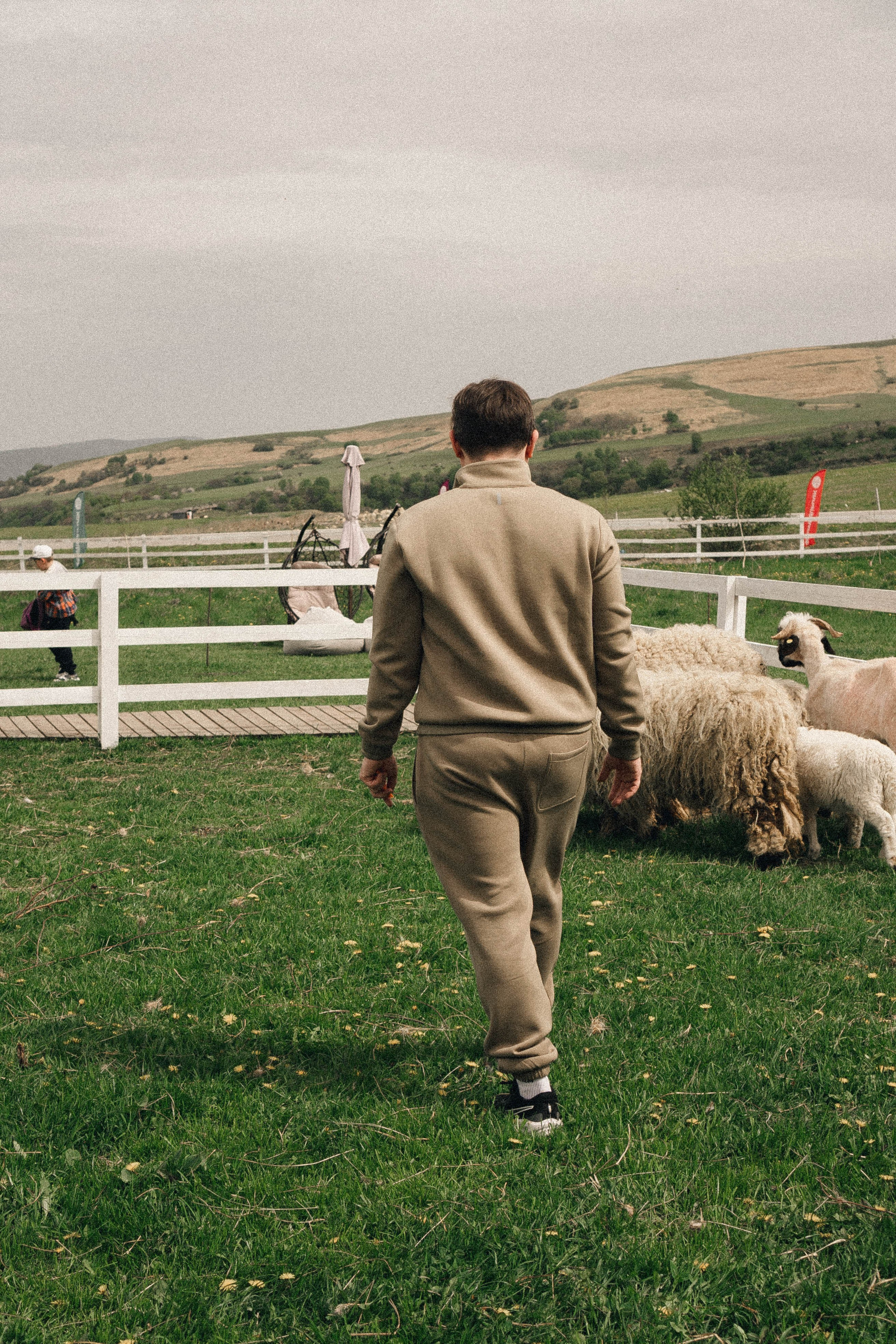 Ферма Альпак. Профессиональный фотограф, Санкт-Петербург — Виктория Богомолова
