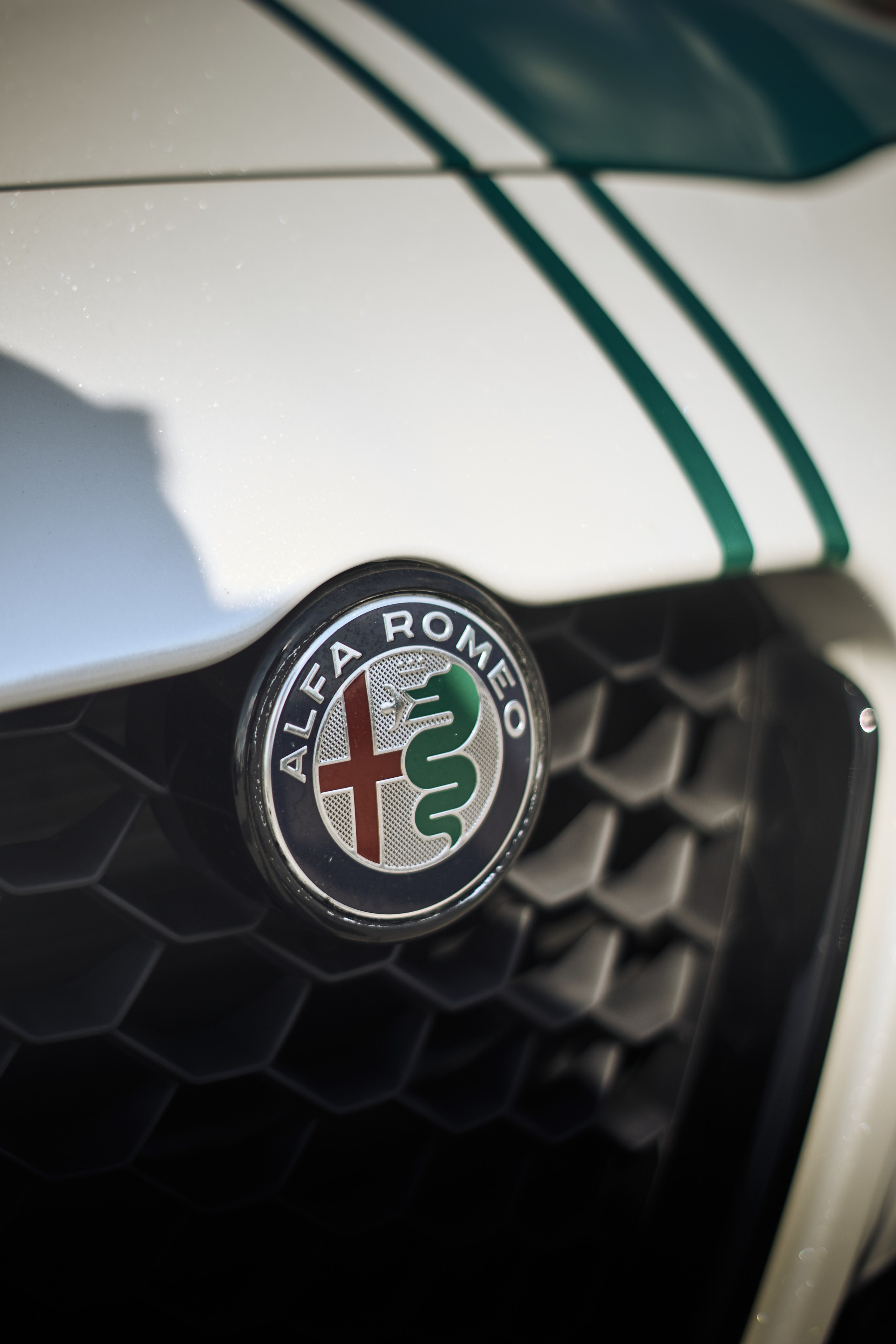 DNB 25. Фотограф Александр Рауш