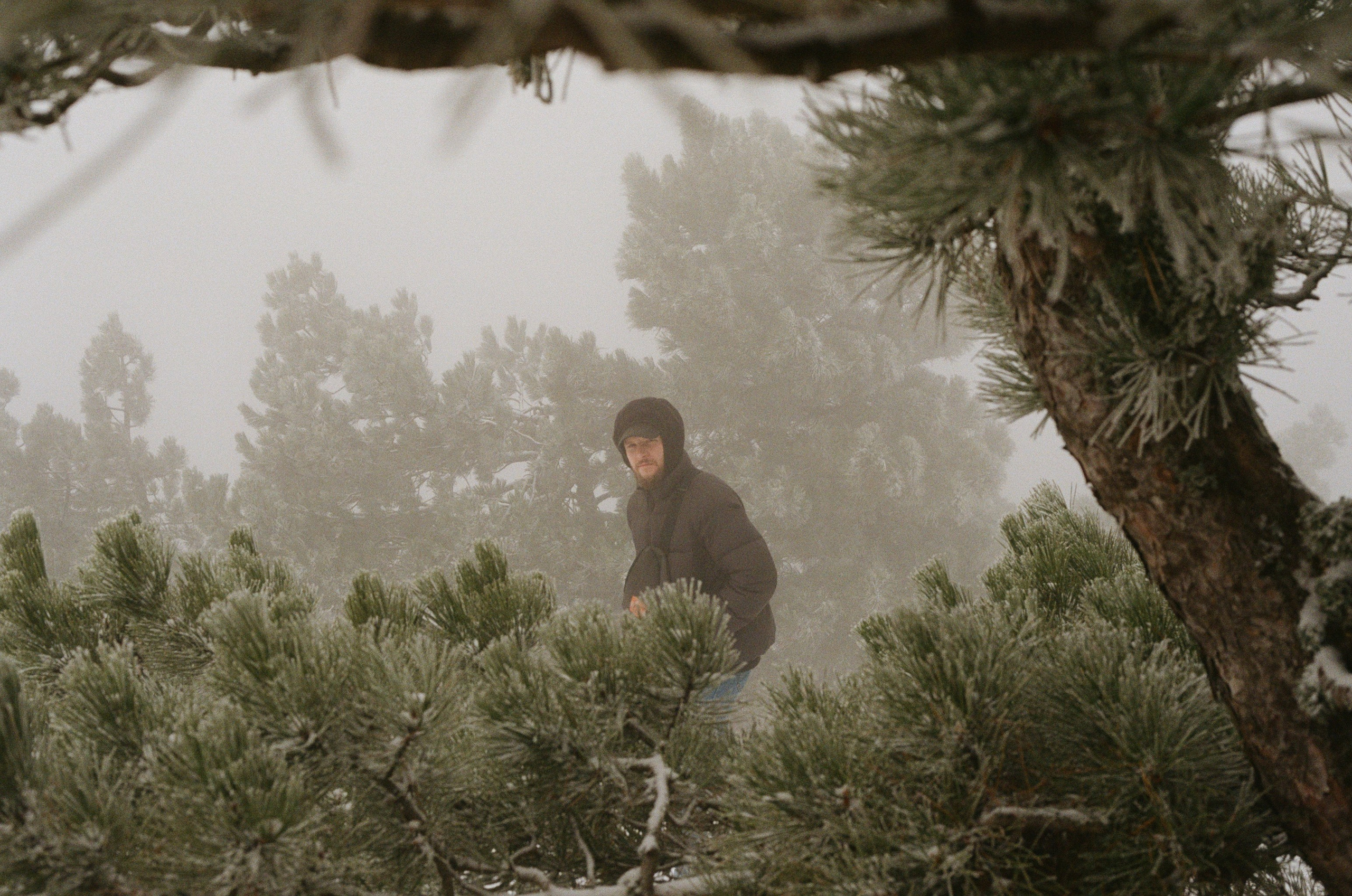 Фотосессия на пленку, свадьба, портреты, ивенты в Москве. Кизя Мисриева — фотограф: плёнка, цифра. Москва и не только