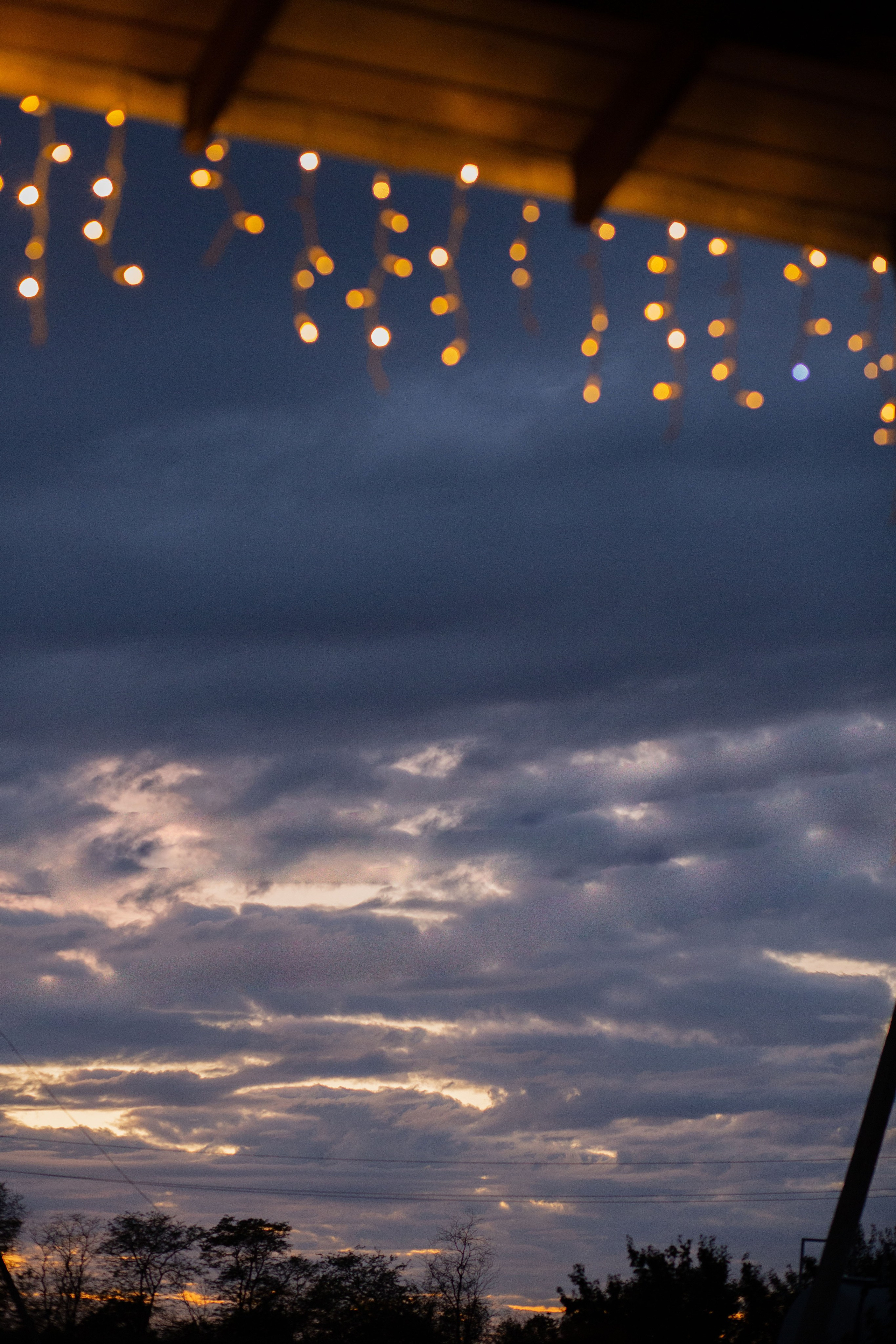 Репортажная съемка. Семейный фотограф в Новопокровской, Тихорецке и Краснодаре Чугусова Марина