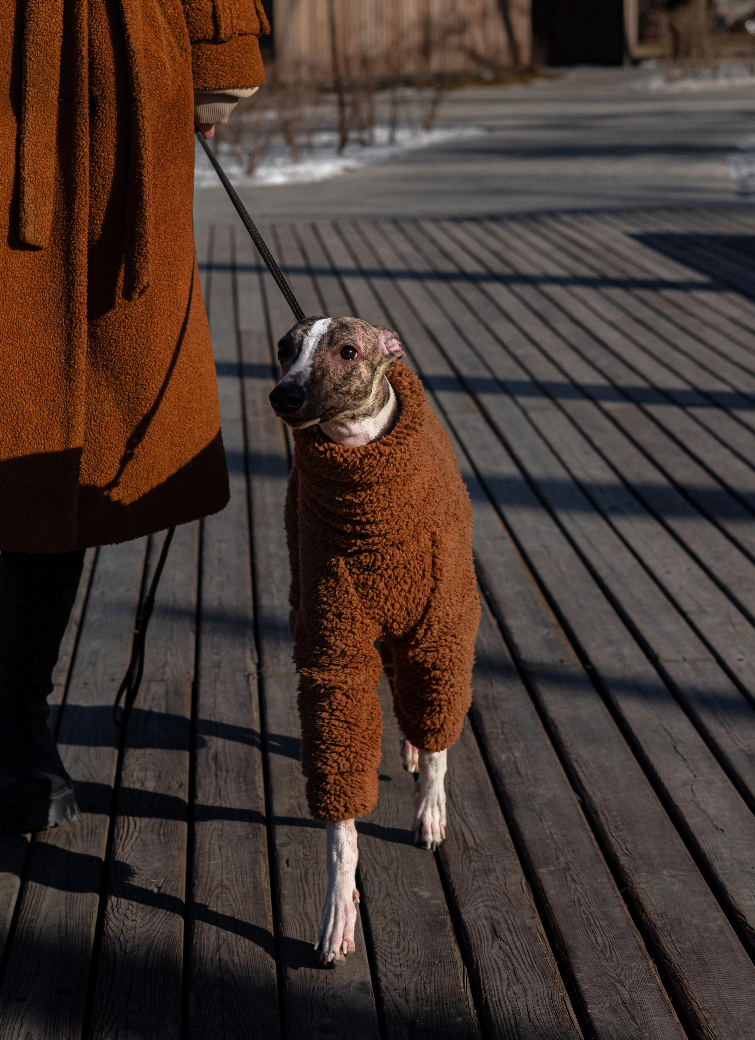 Алёна и Дос. Фотограф — анималист Владивосток, Алина