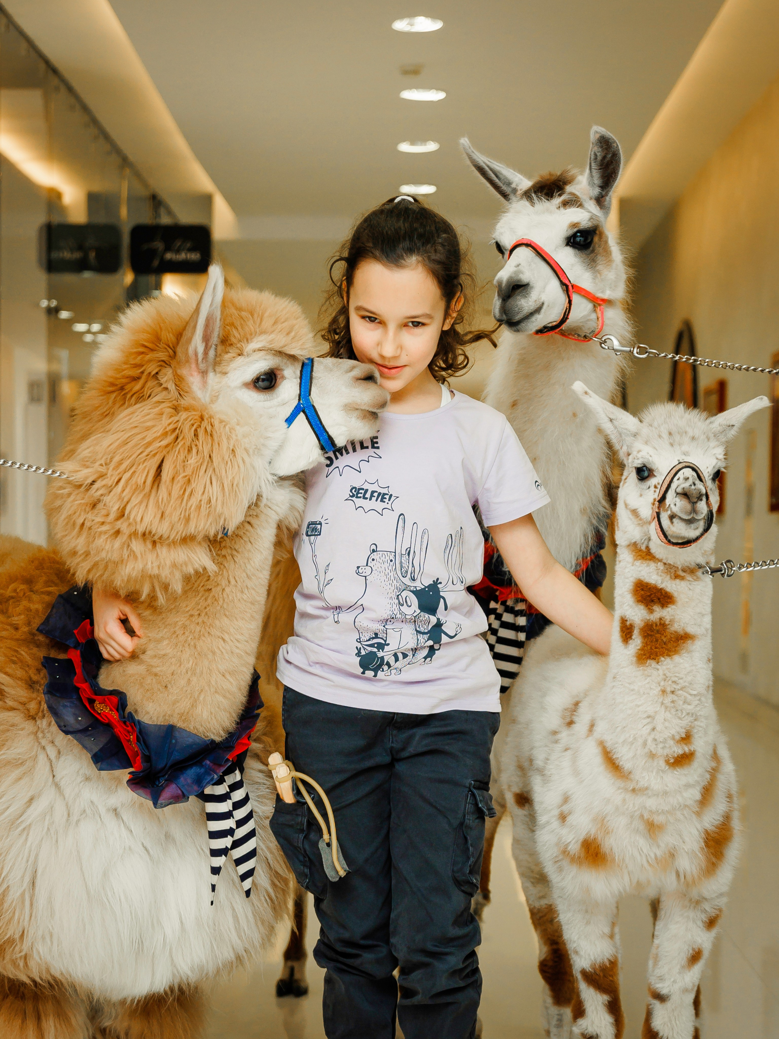 Банкетный репортаж. Главная