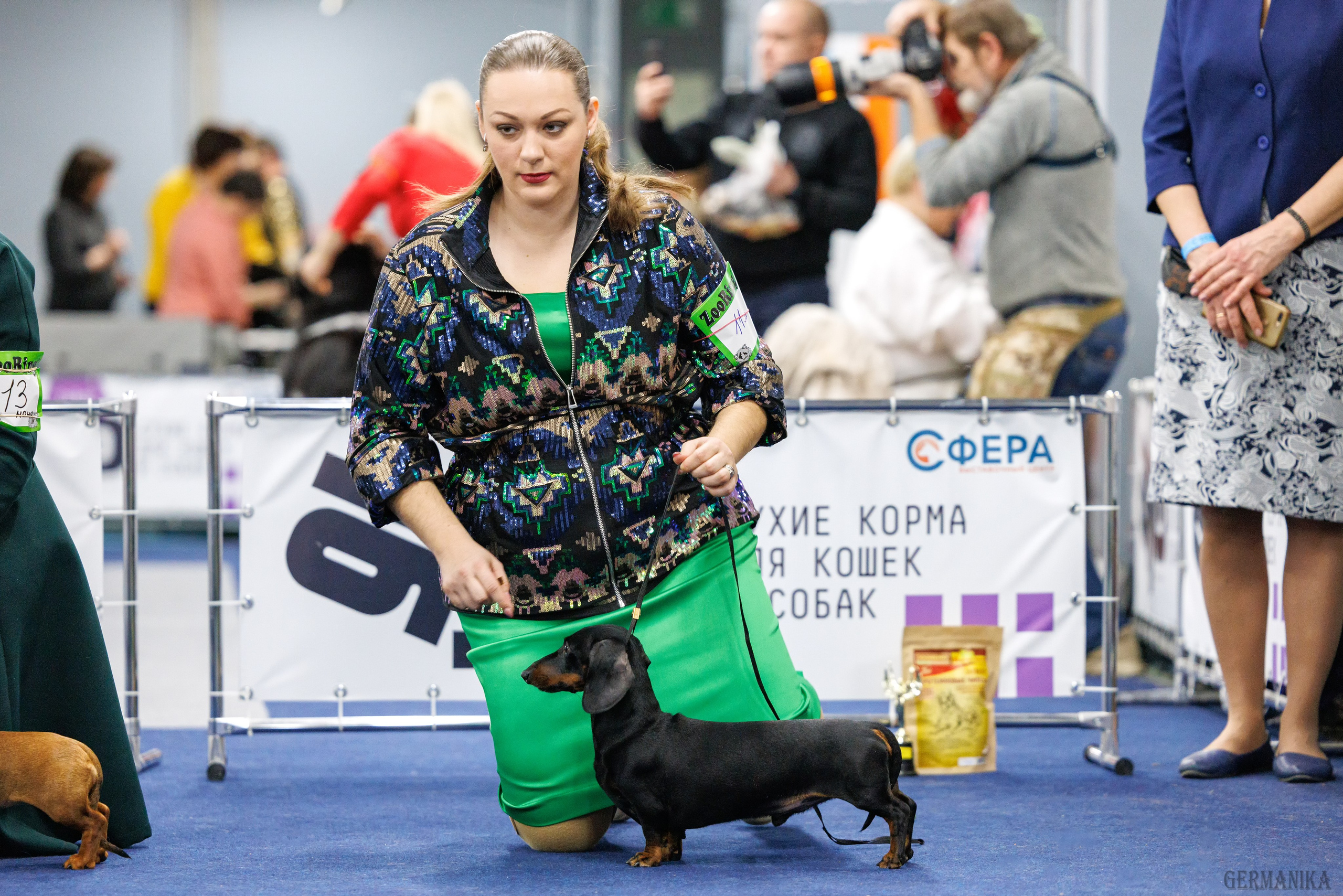 Крокус 10.02,Сфера 11.02.2024. Фотограф-анималист Юлия Германика