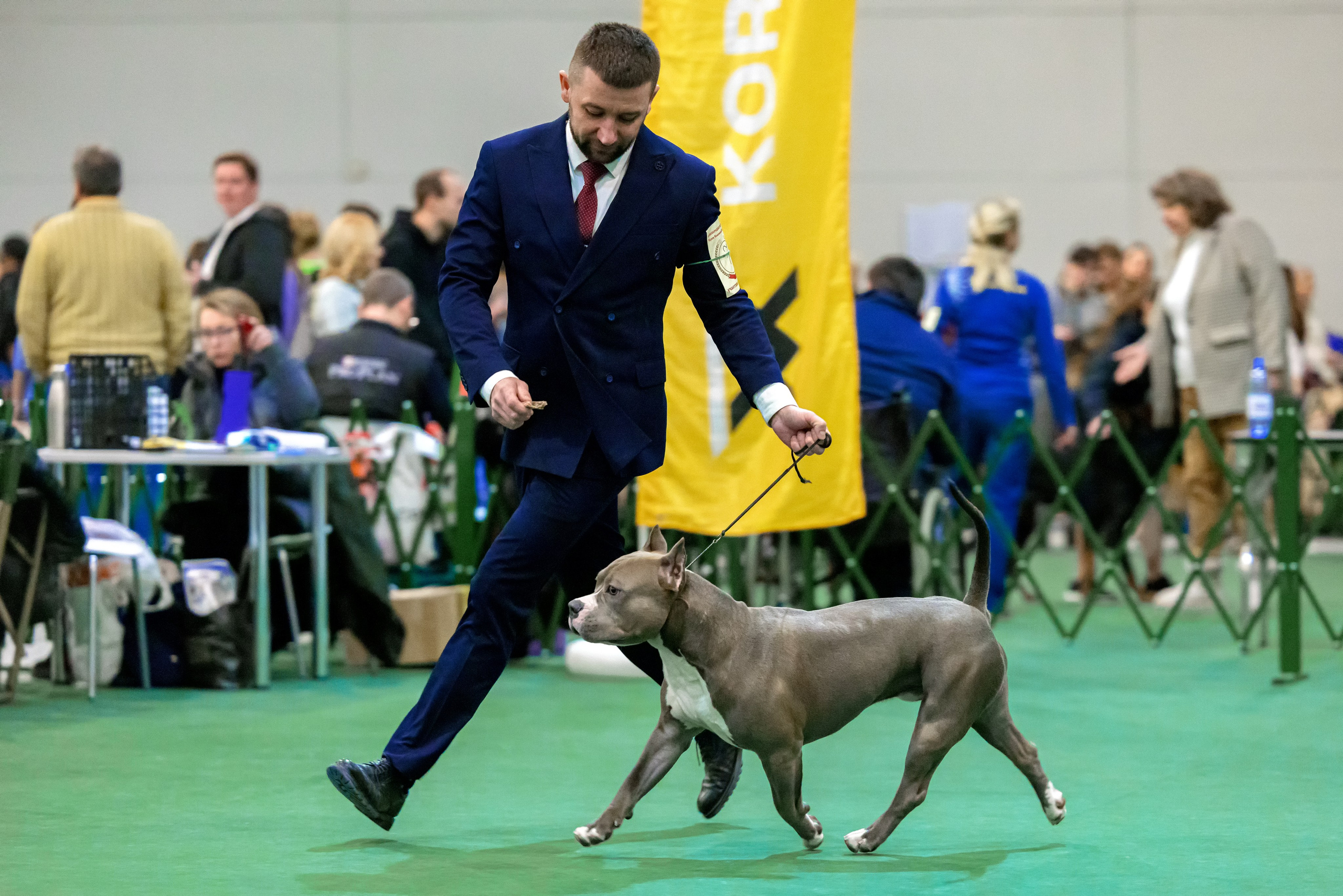 Крокус 3,9 и 10.12.2023. Фотограф-анималист Юлия Германика
