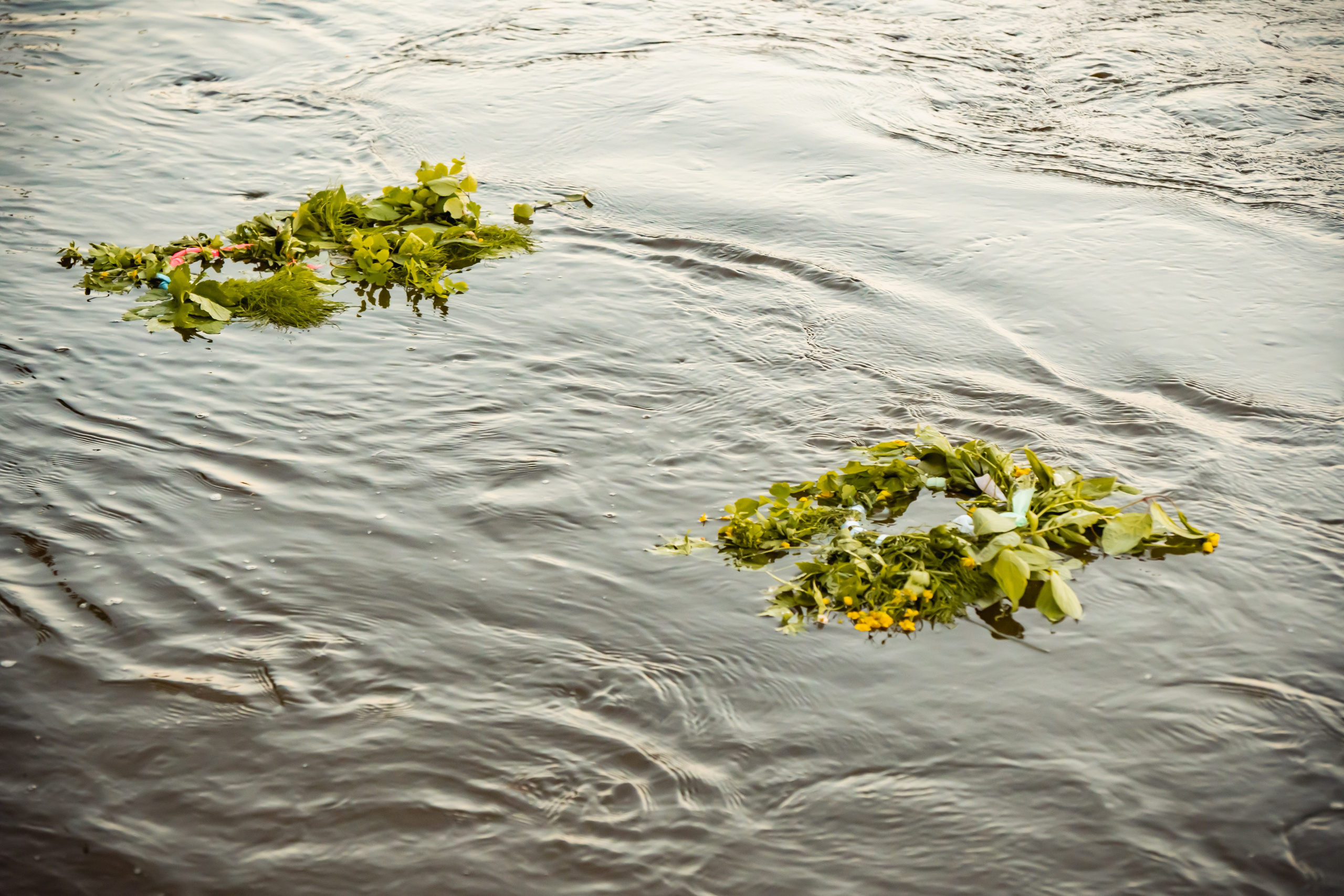 Белорусское Купалье. Занимаюсь профессиональной фотографией и живу рядом с Байкалом. Работаю в разных жанрах