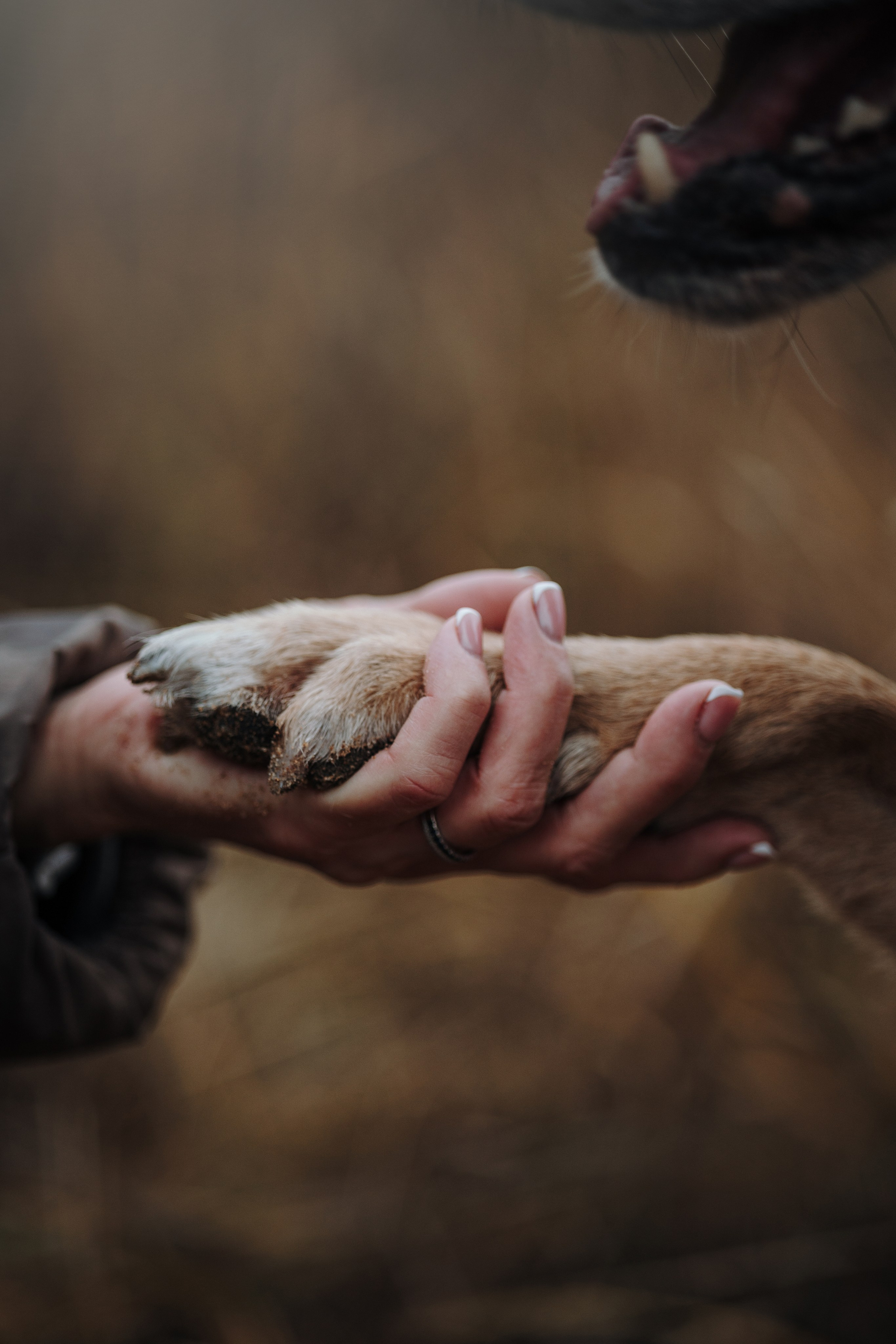 Наталья и Того. Фотограф — Анималист | Санкт-Петербург