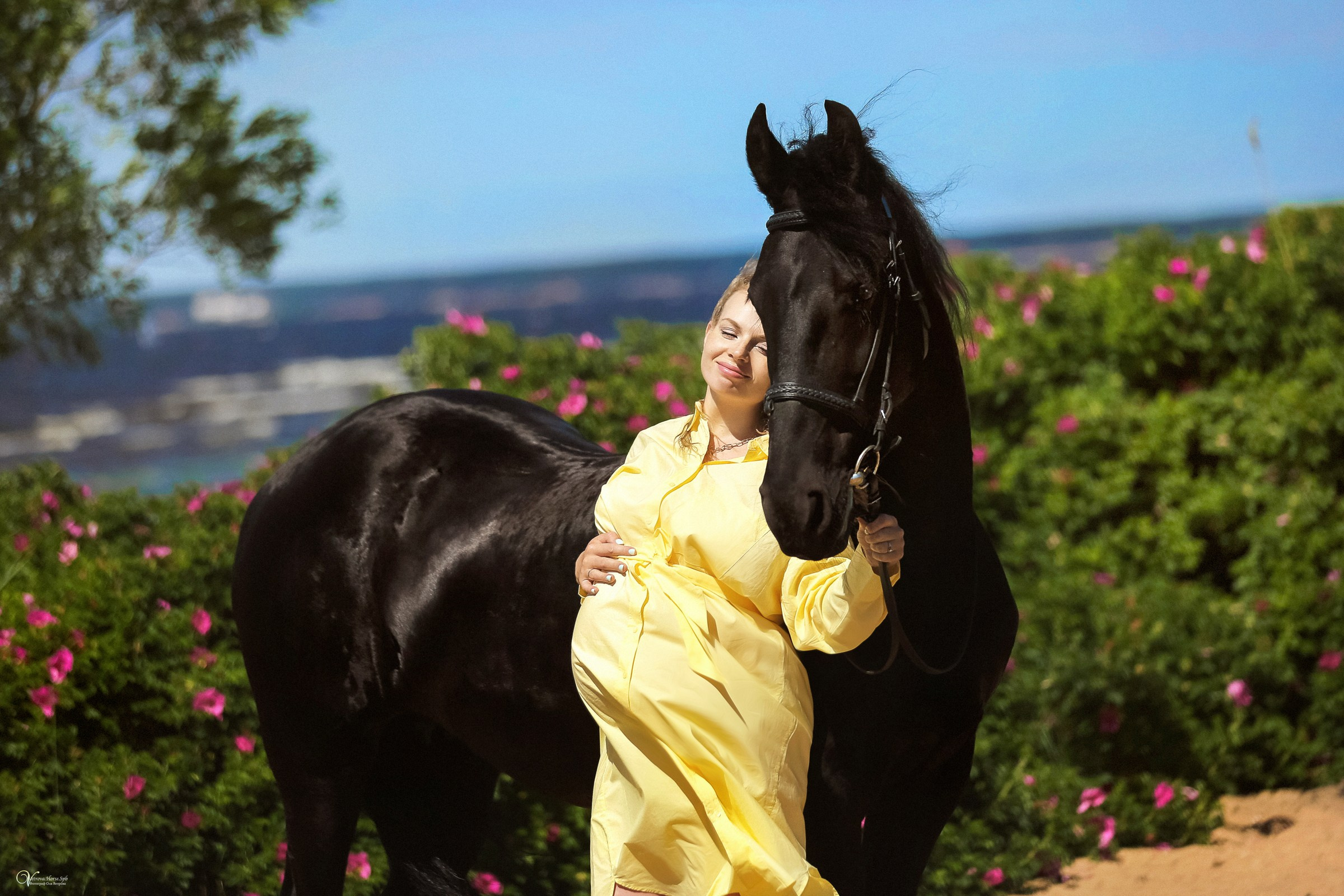 Фотосессии с лошадьми летом. Фотограф женский и мужской портрет Санкт-Петербург