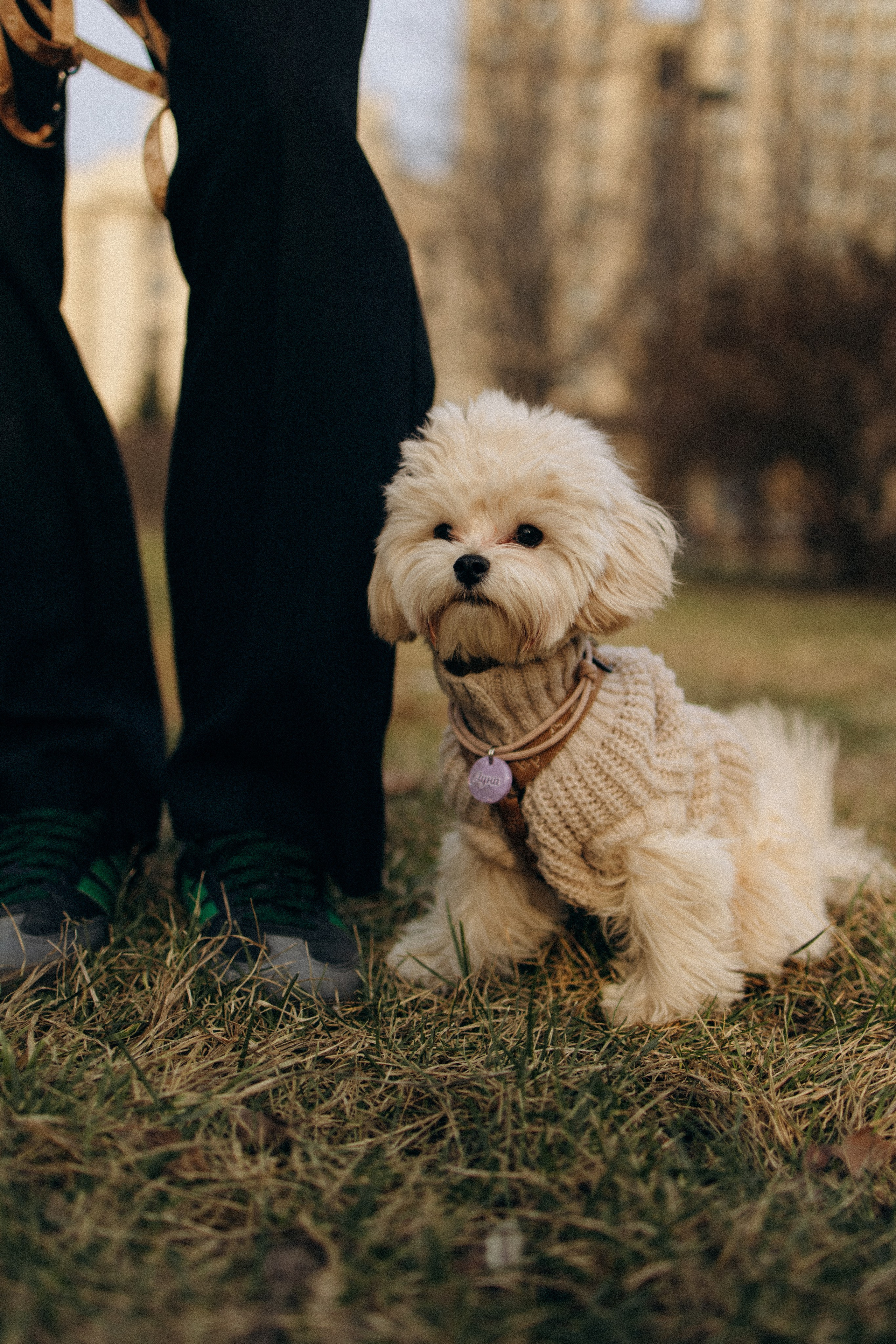 Маша, Лиза и Луна. Фотораф — анималист Мария Шистка