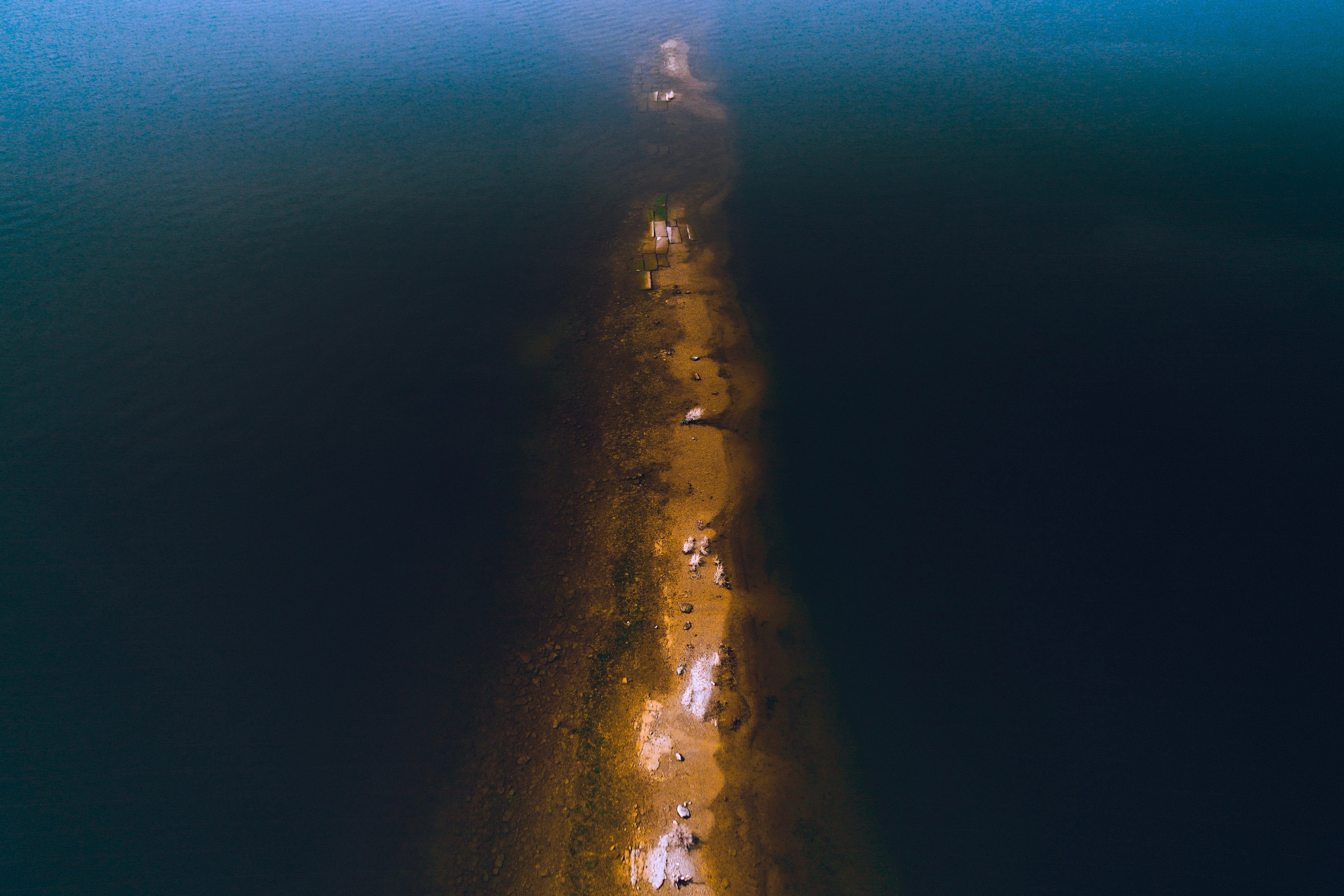 ЦВЕТНЫЕ ФОТОГРАФИИ. Никита Аничкин фото и видео оператор из России