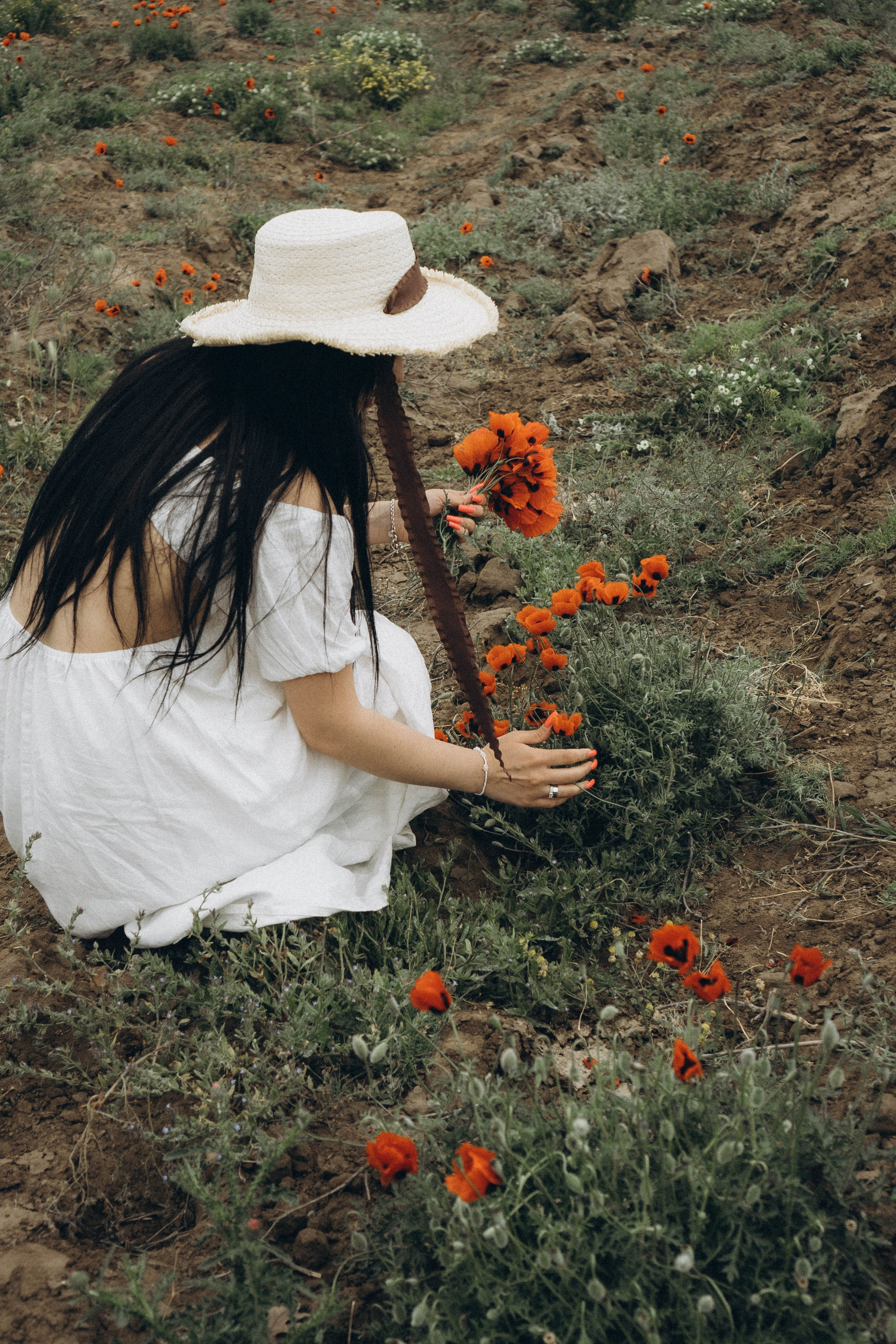 Маковое поле. Профессиональный фотограф, Санкт-Петербург — Виктория Богомолова