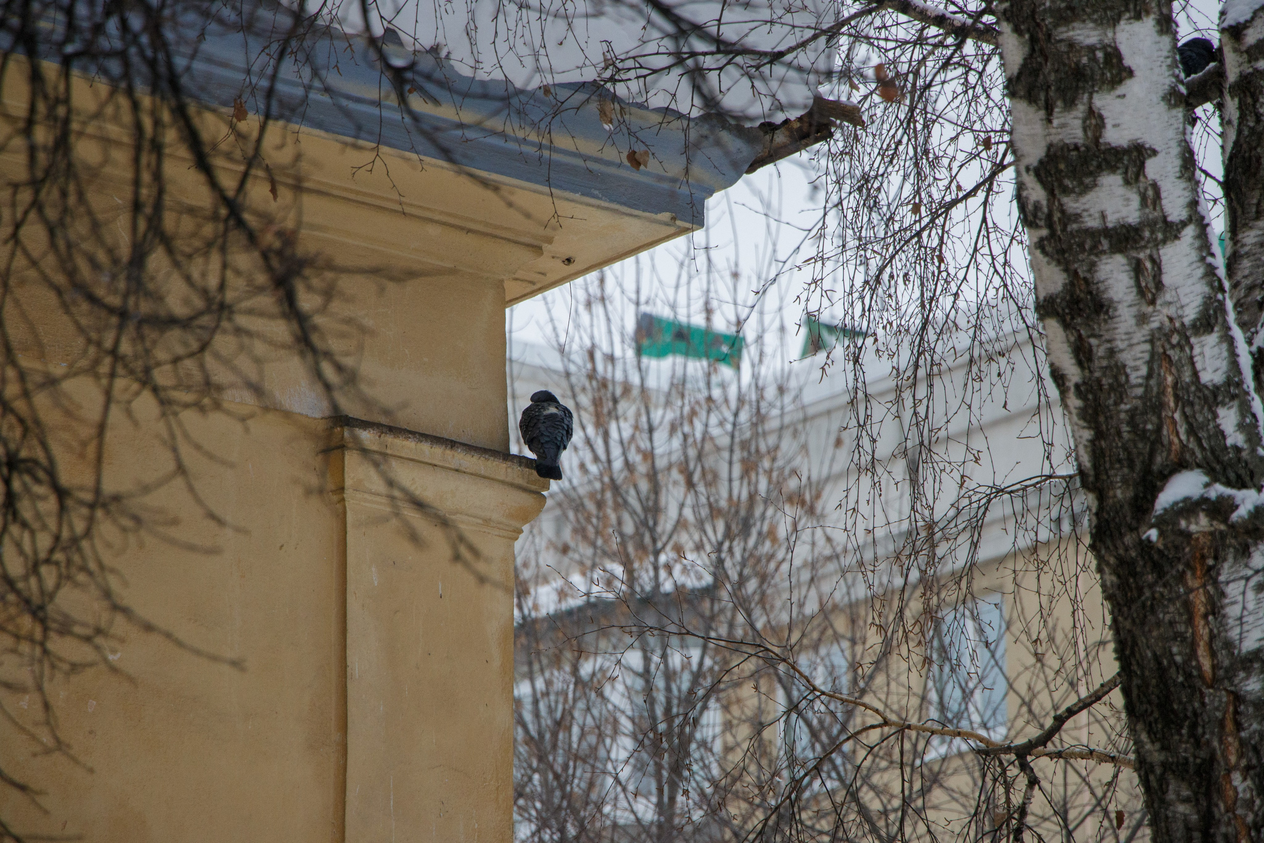 Уфа. Фотопрогулка. Олег Романов. Мастер фото по спорту