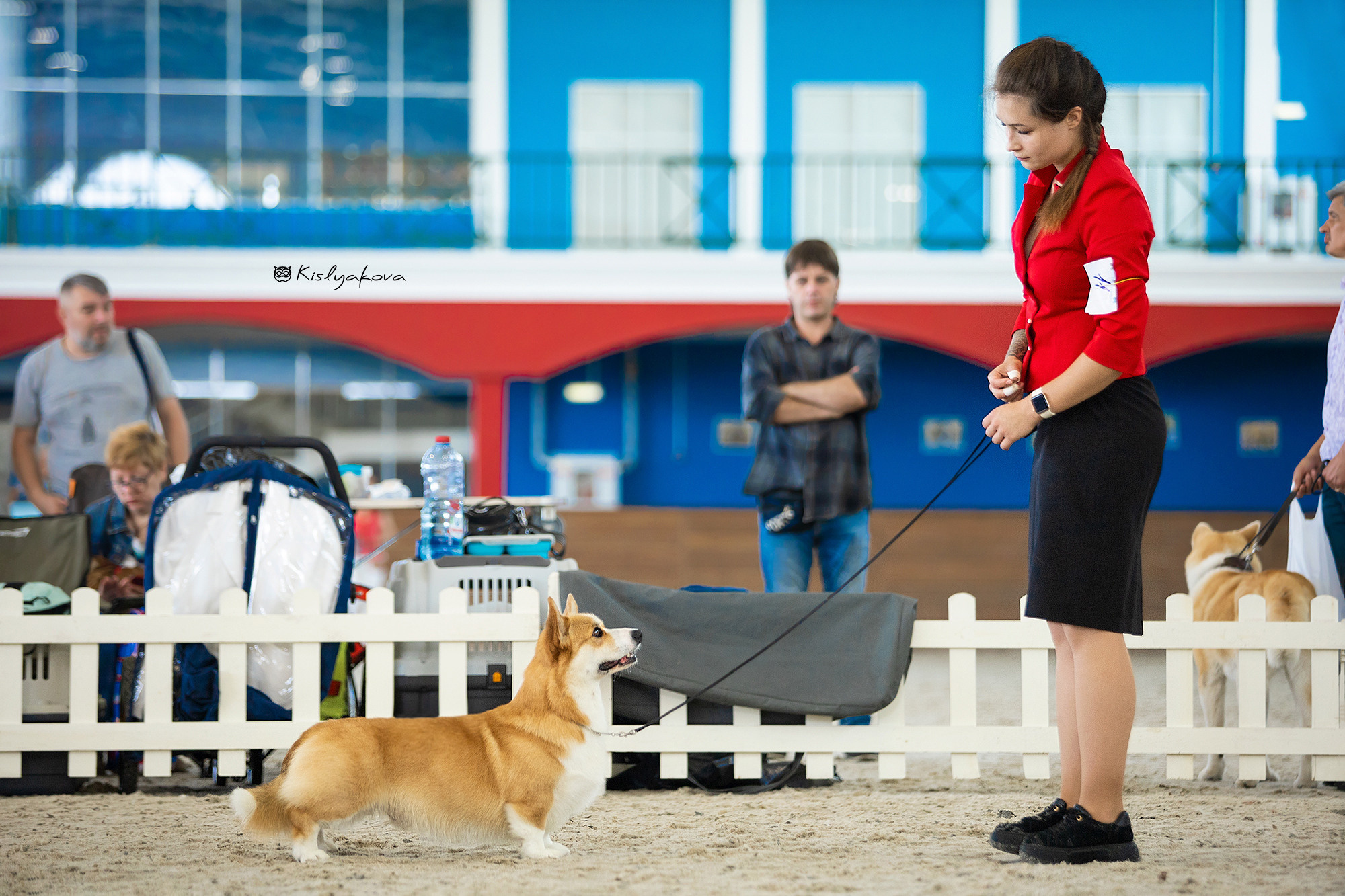 Выставочный репортаж. Фотограф. Фотограф-анималист. Москва