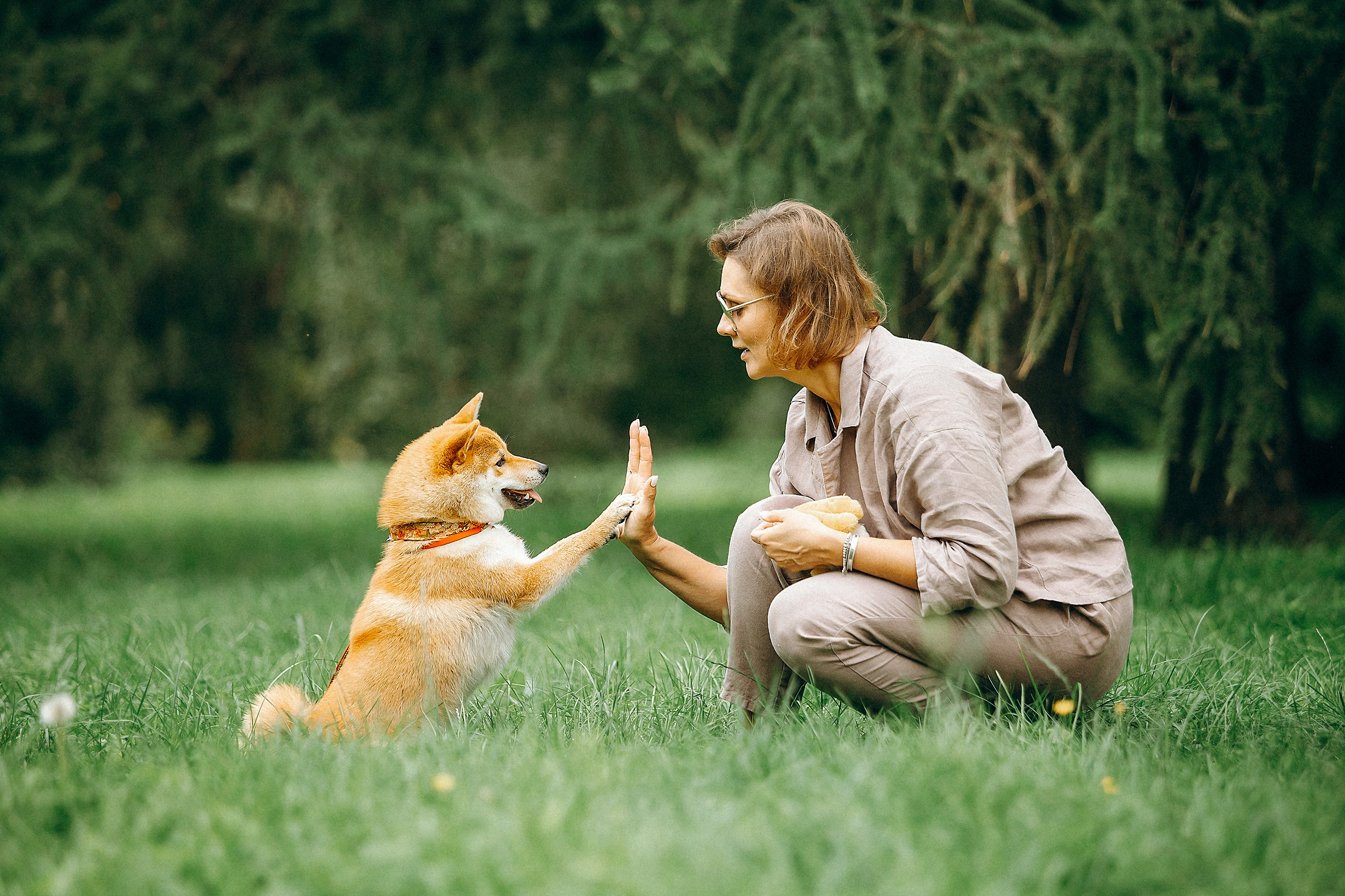 Семейные фотосессии с питомцами. Фотограф. Фотограф-анималист. Москва