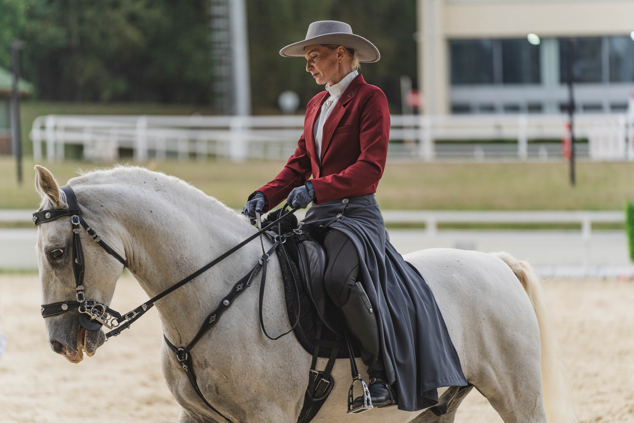 Мастер-класс по рабочей выездке. Фотограф в Москве Ленарская Дарья